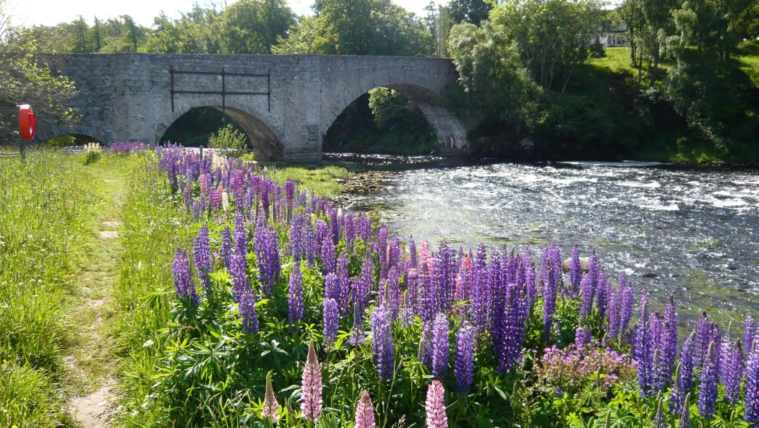 Area and facilities in Grant Arms Hotel