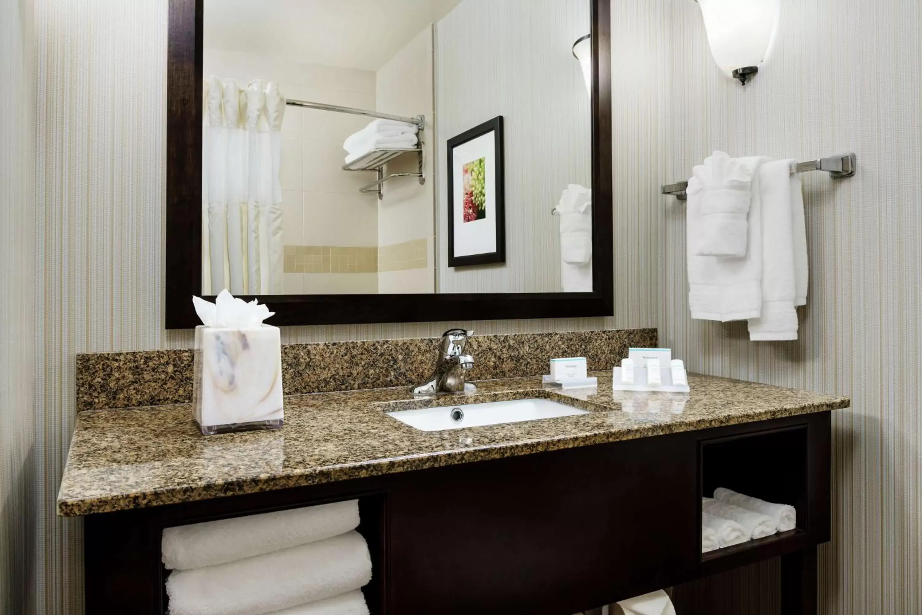 Bathroom in Hilton Garden Inn Lake Mary