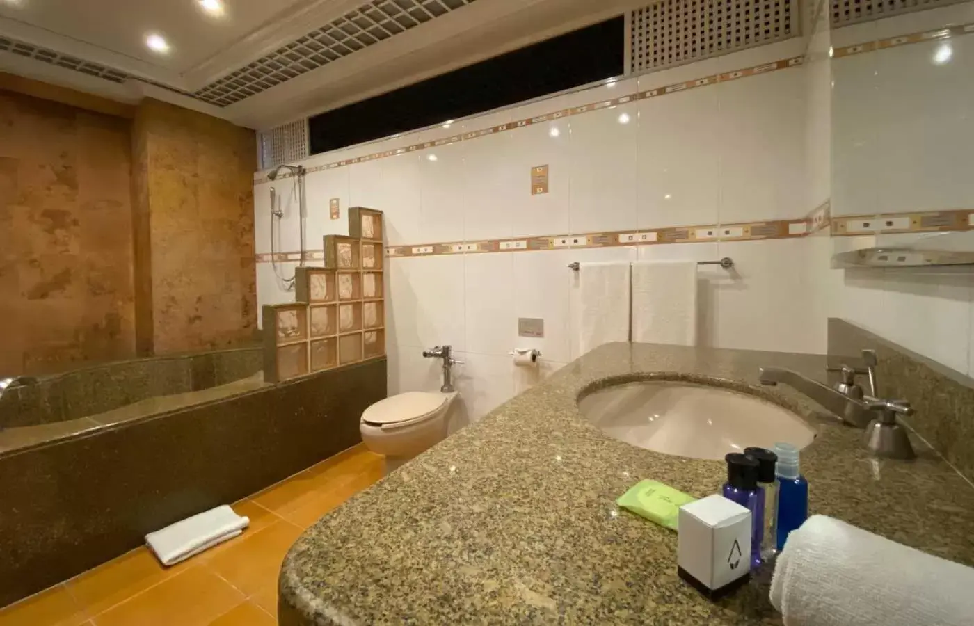 Toilet, Bathroom in Hotel Escala Central del Norte