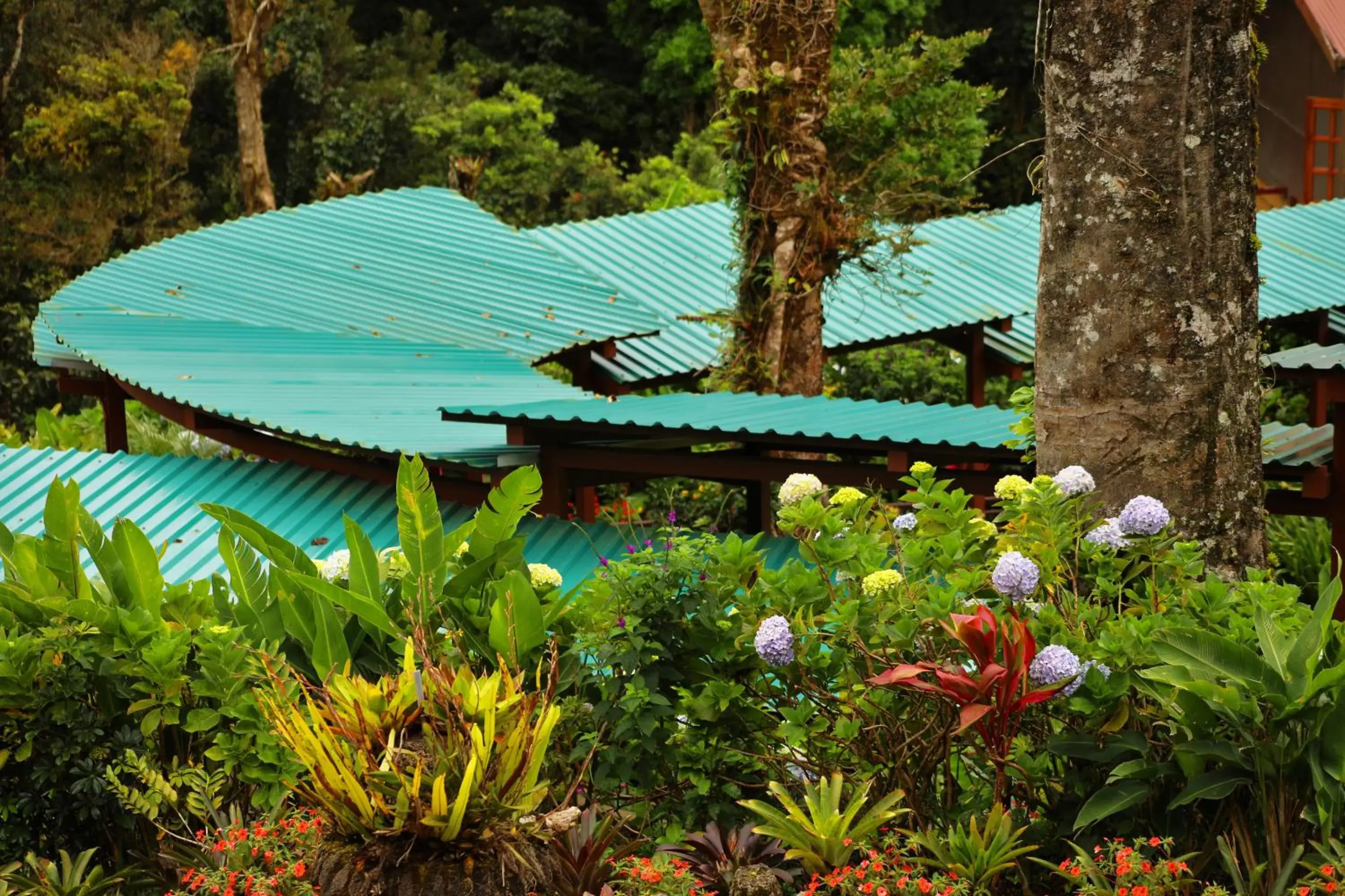 Garden, Property Building in Trapp Family Lodge Monteverde