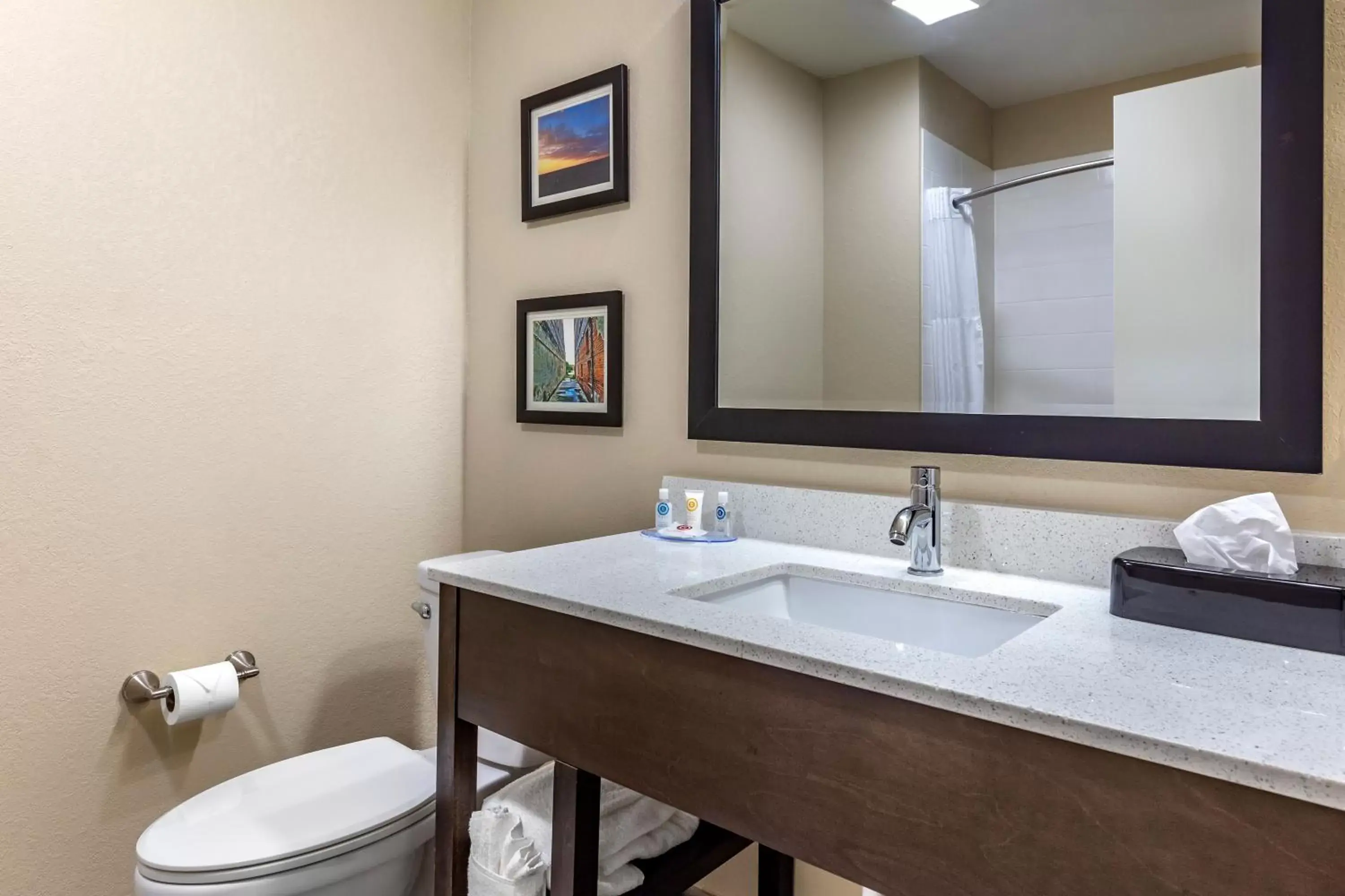 Bathroom in Comfort Inn & Suites Spring Lake - Fayetteville Near Fort Liberty