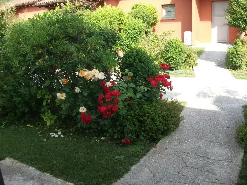 Spring, Garden in Joia Hotel & Luxury Apartments