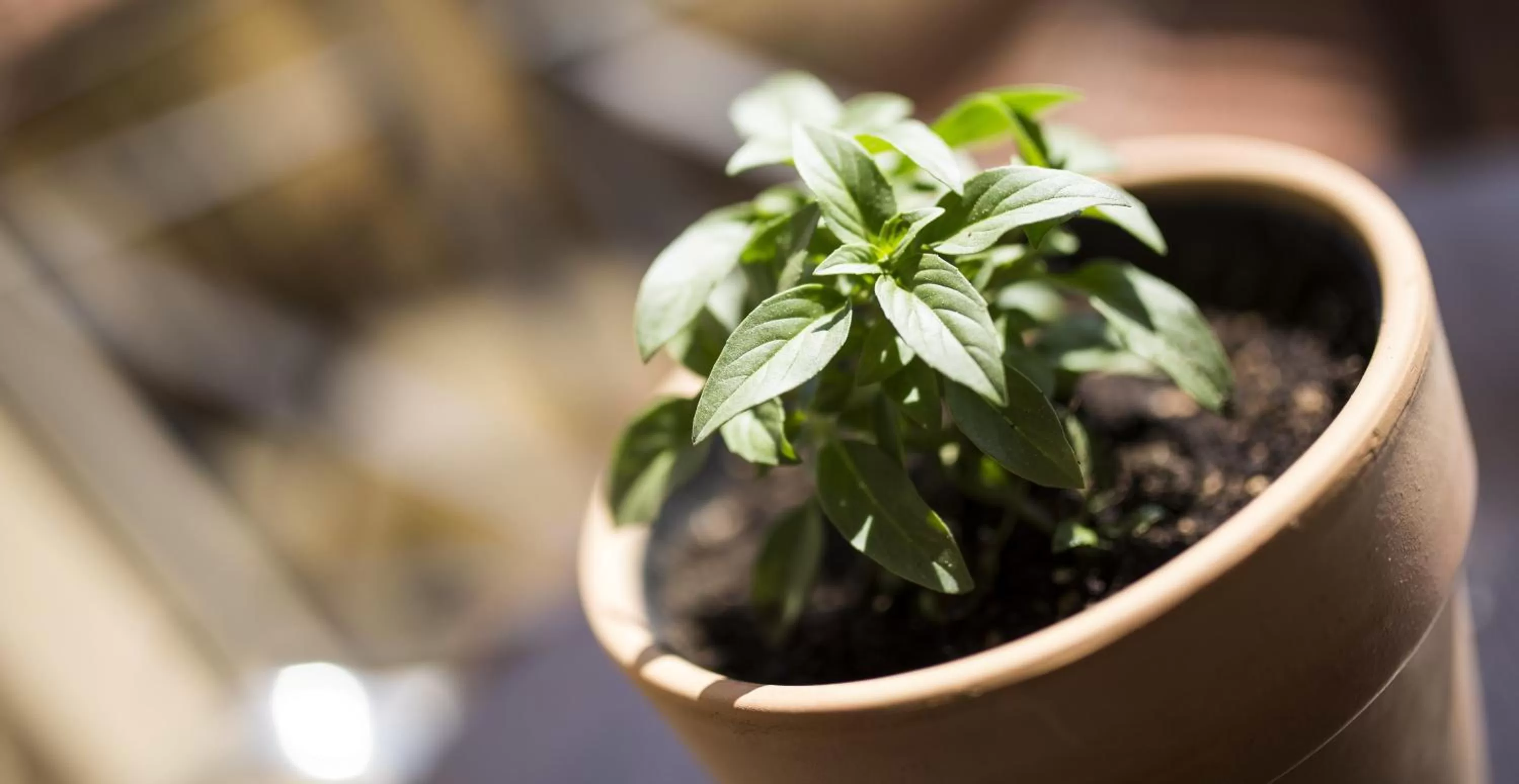 Decorative detail in Hotel Meteoritis