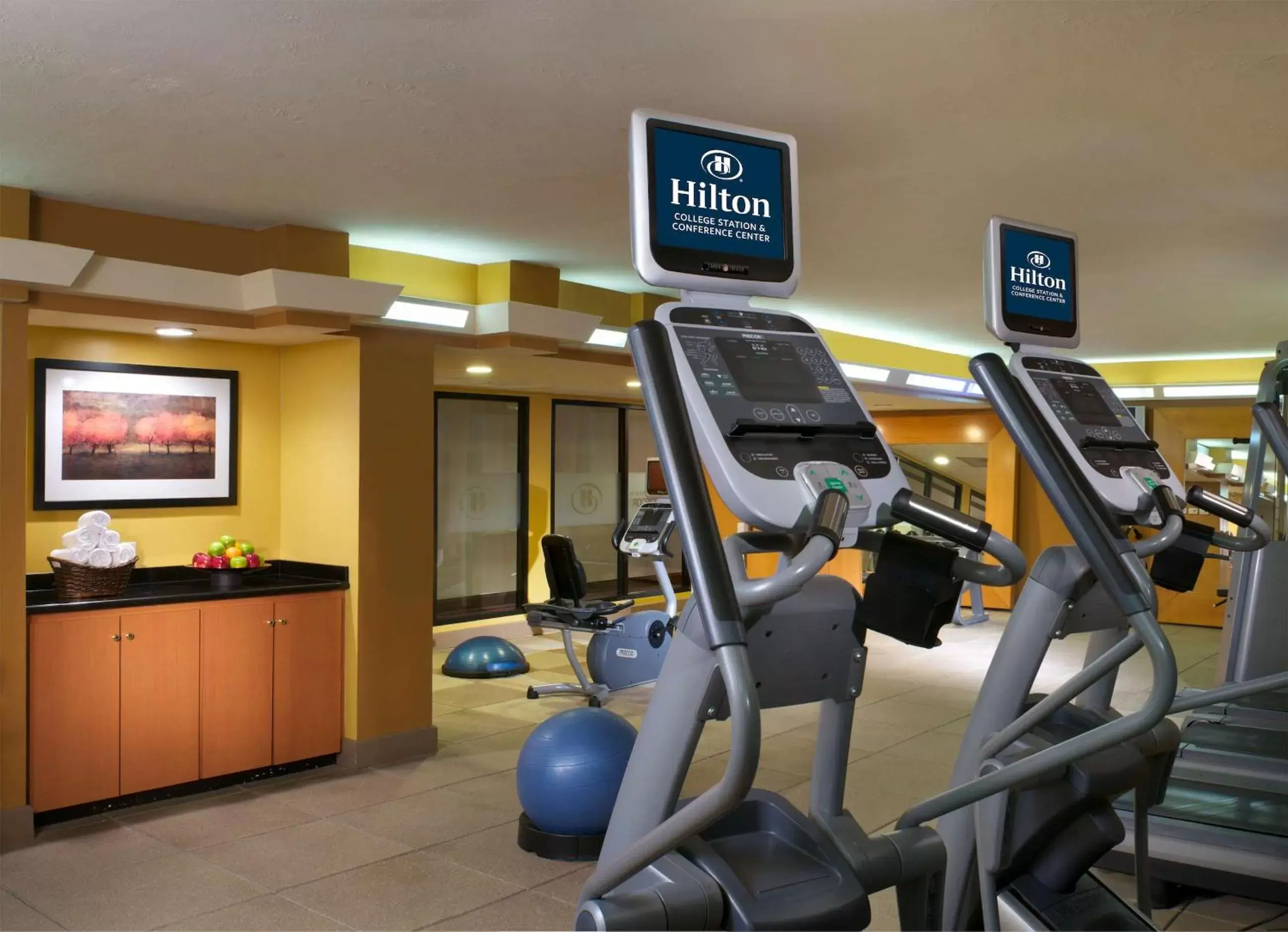Fitness centre/facilities, Fitness Center/Facilities in Hilton College Station & Conference Center