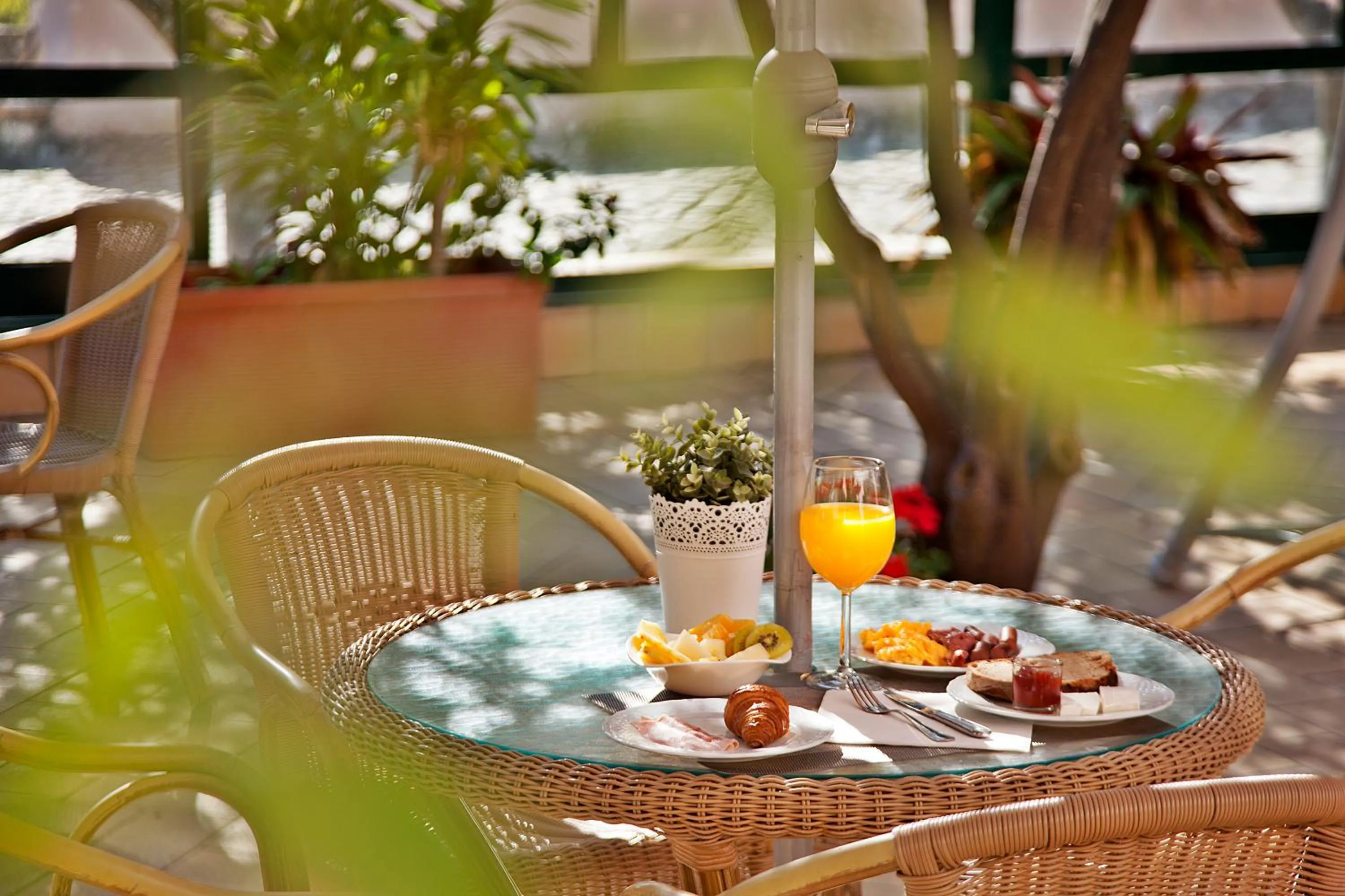 Food and drinks in Turim Club Azeitao Hotel