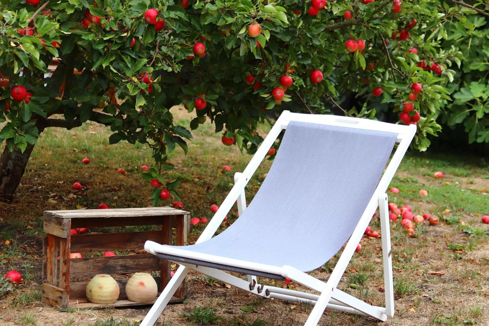 Garden in Kanns Hotel