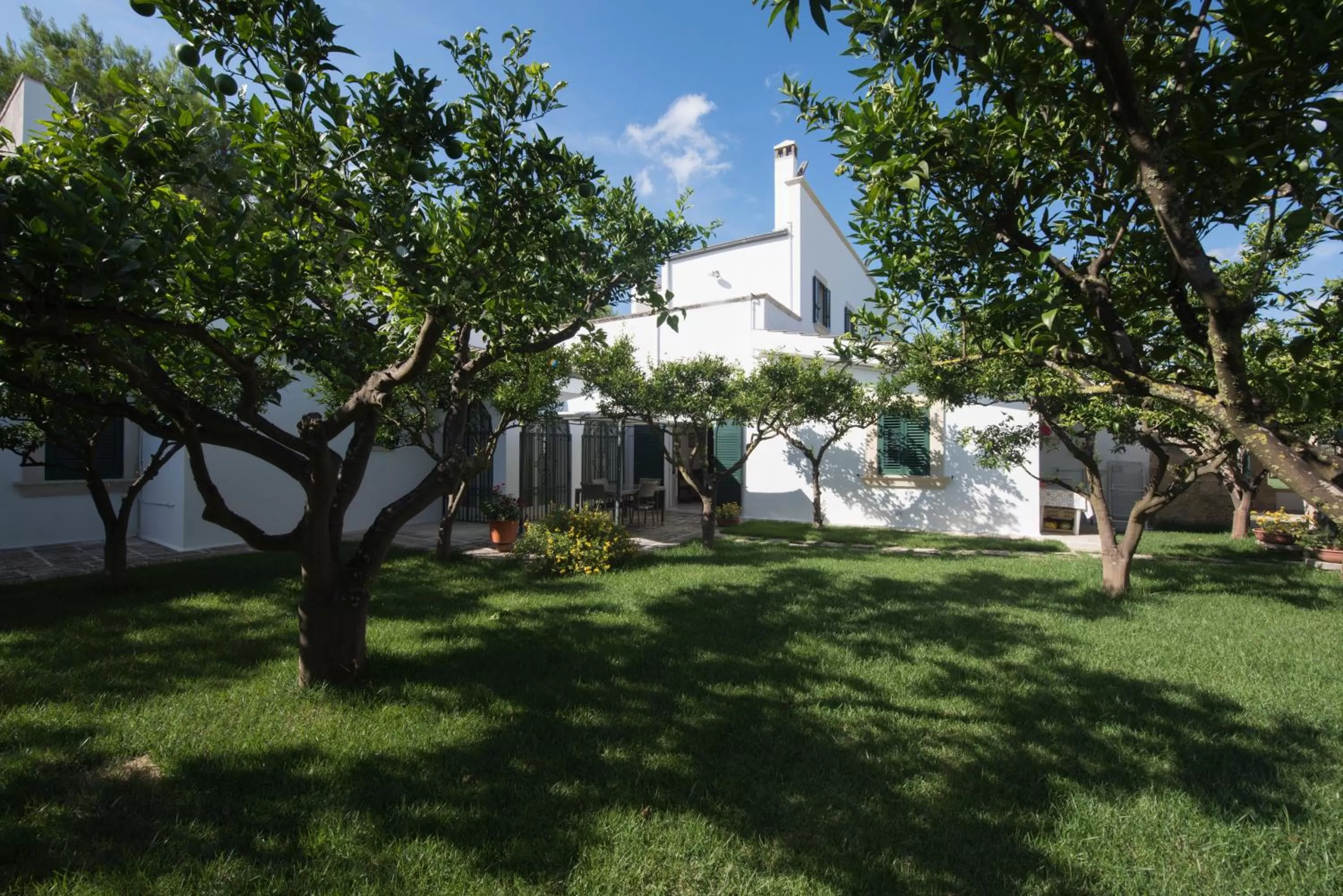 Garden, Property Building in Parco Degli Aranci