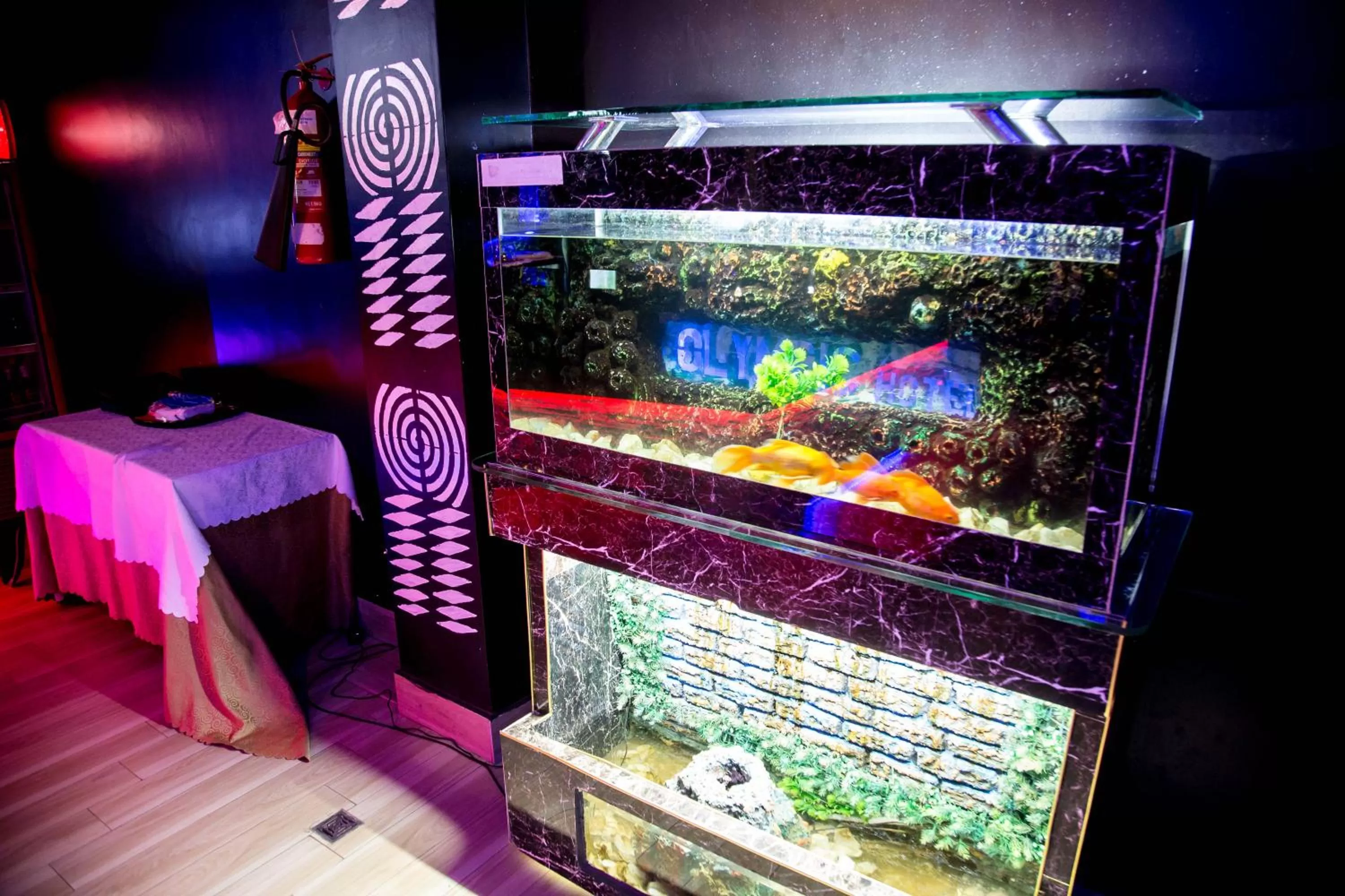 Lounge or bar in Olympic Hotel