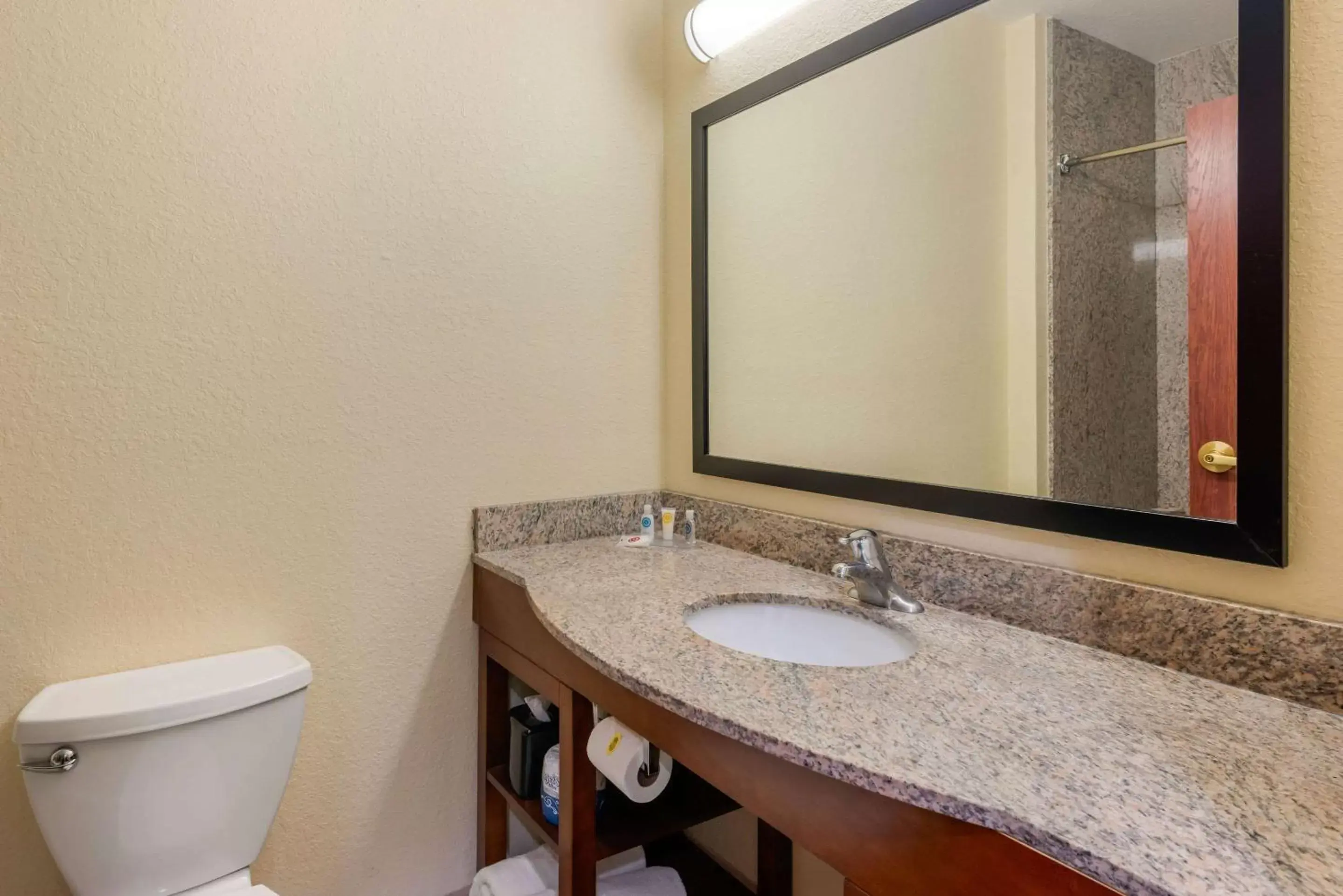 Photo of the whole room, Bathroom in Comfort Inn & Suites Northeast - Gateway