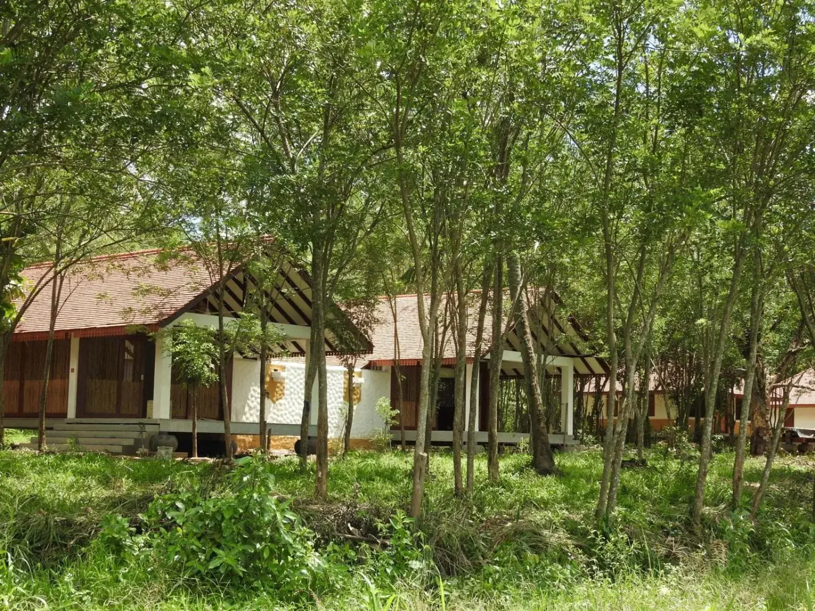 View (from property/room), Property Building in Jetwing Kaduruketha