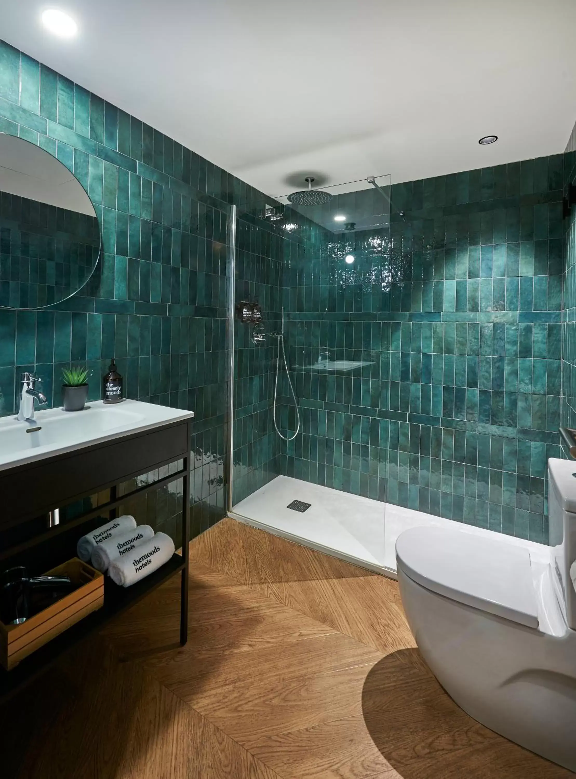 Shower, Bathroom in The Moods Oasis