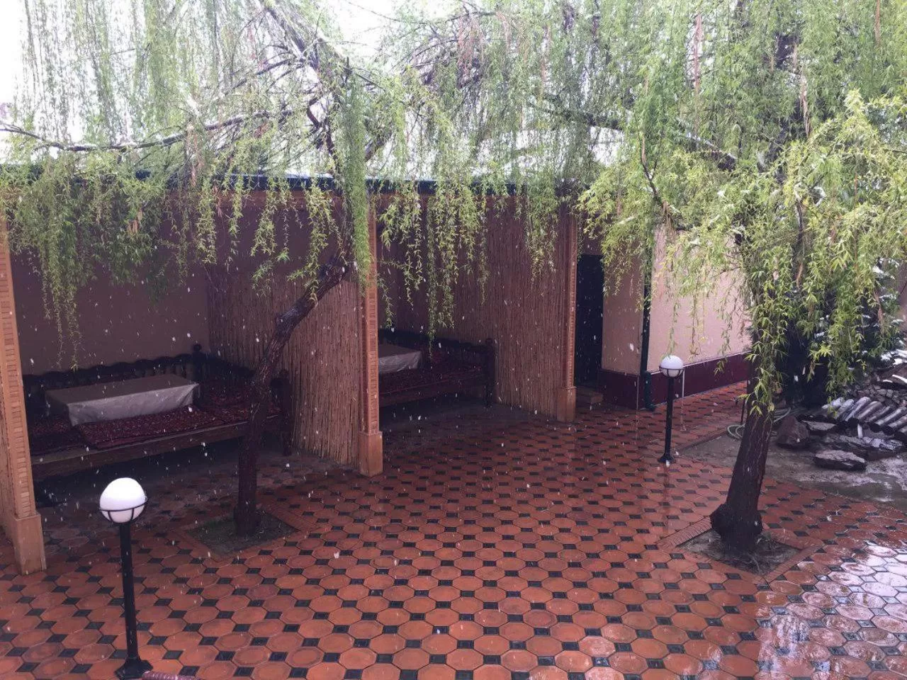 Spring in Comfort Hotel