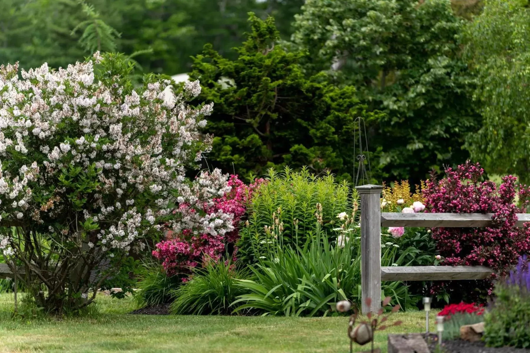 Garden in 1802 House Bed & Breakfast