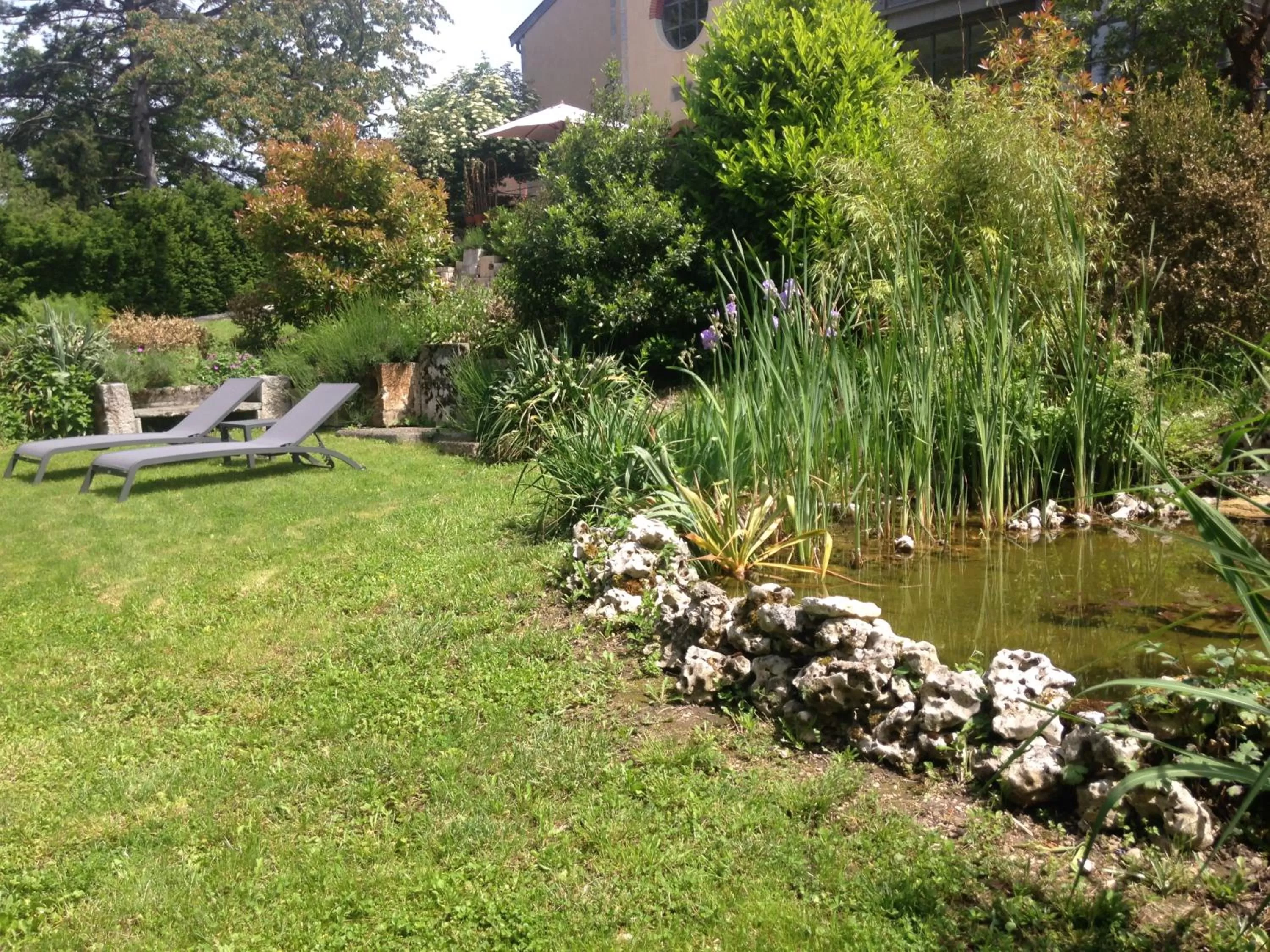 Garden in Hôtel Restaurant Spa Le Sauvage