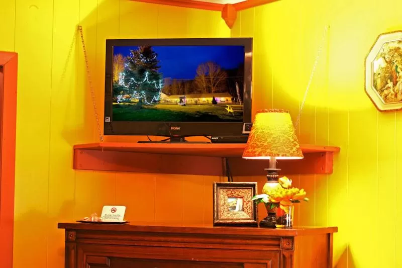 Deluxe Studio in Starlite Motel & Suites