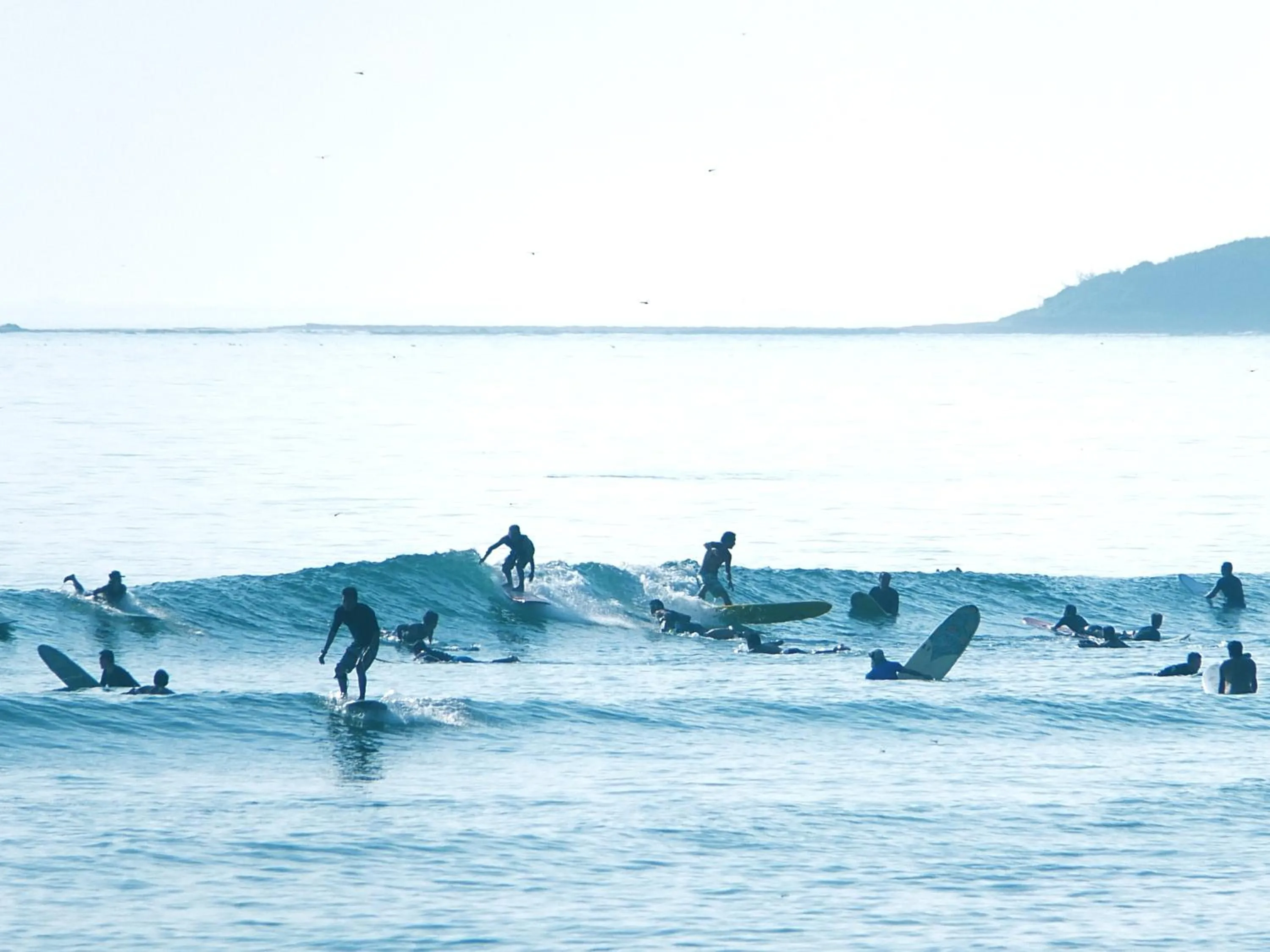 Windsurfing in Aoshima Guesthouse Hooju