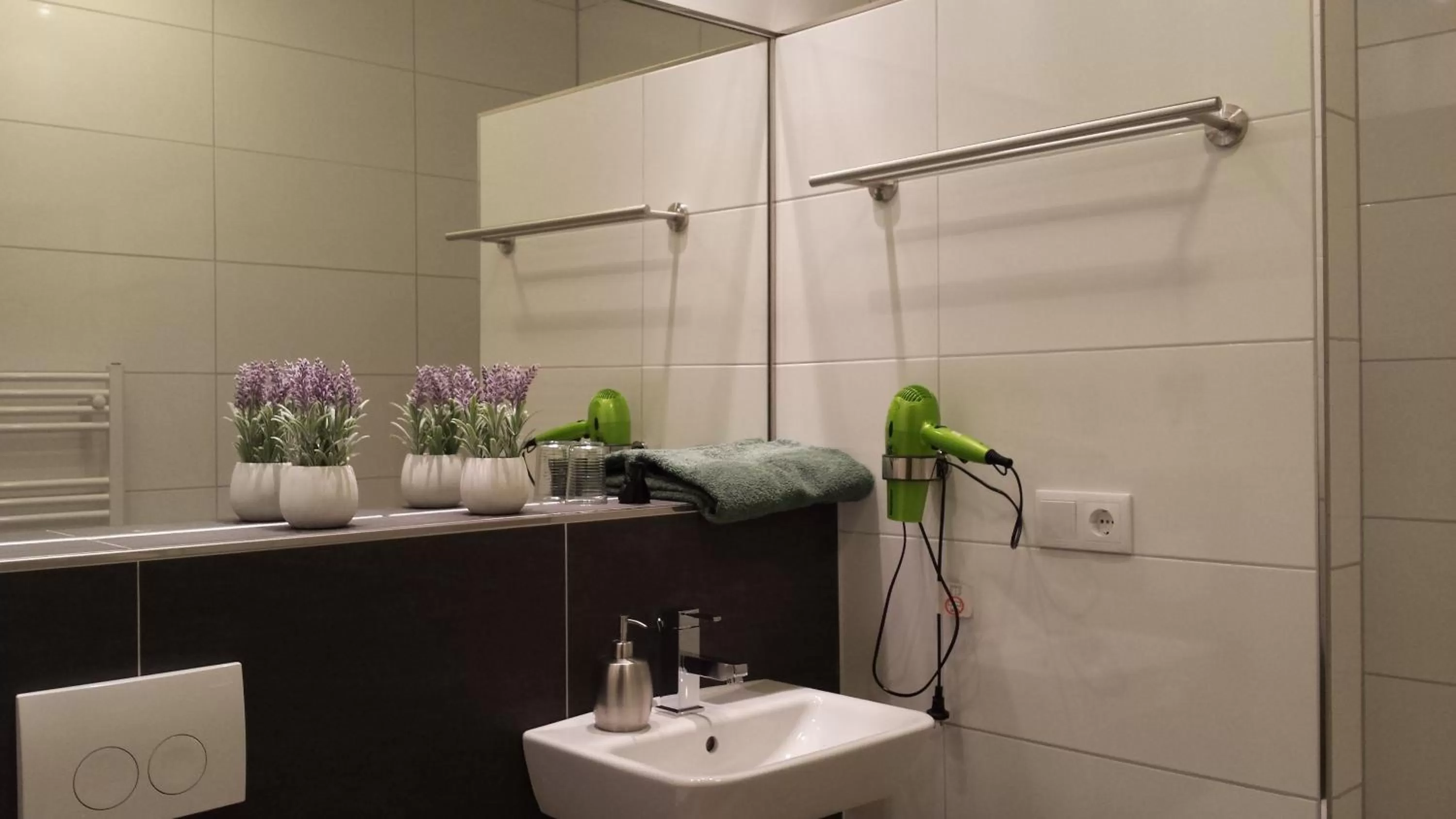 Toilet in B&B Johannes-Hoeve