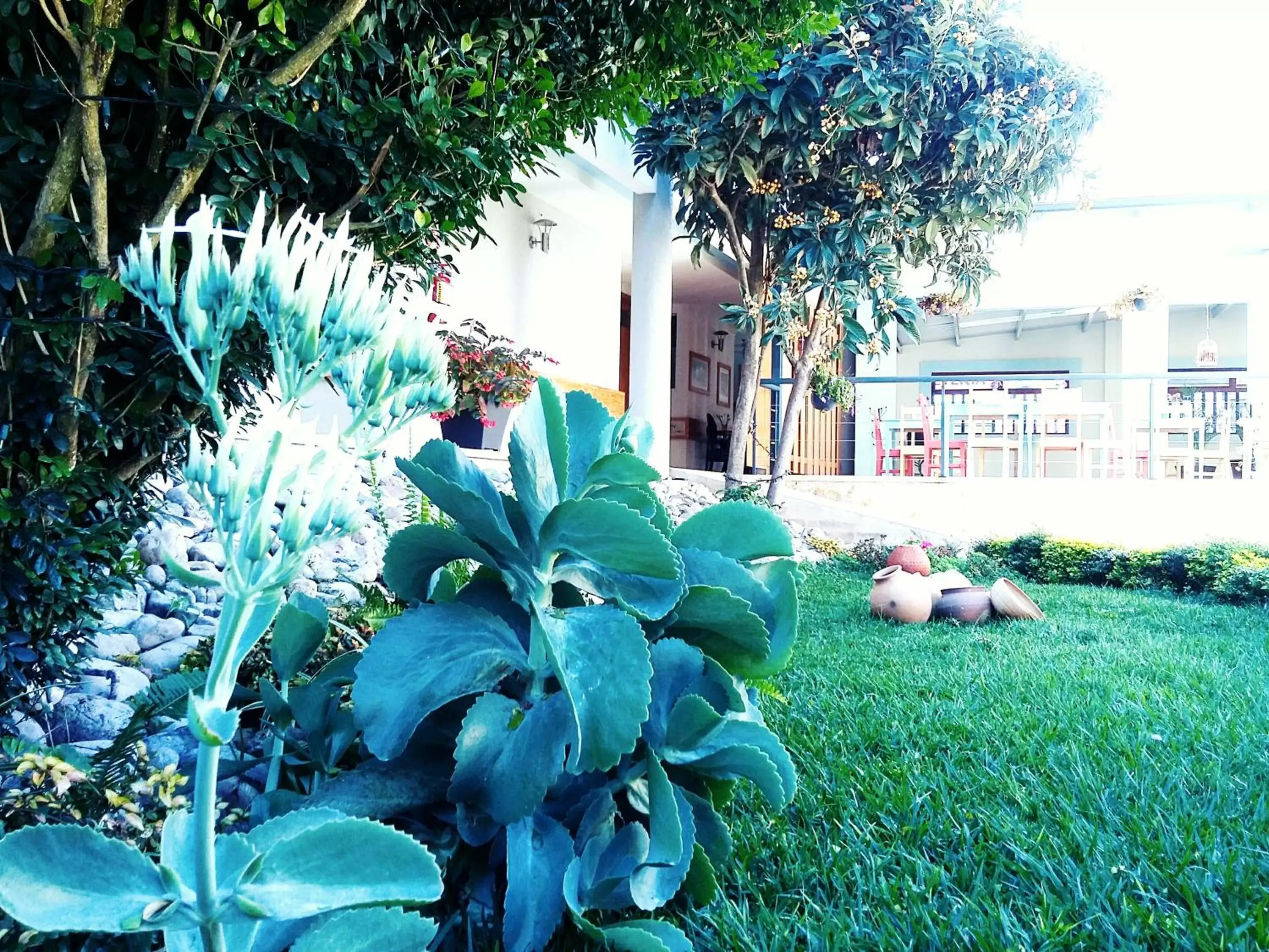 Garden, Property Building in Hotel Casa Caelum