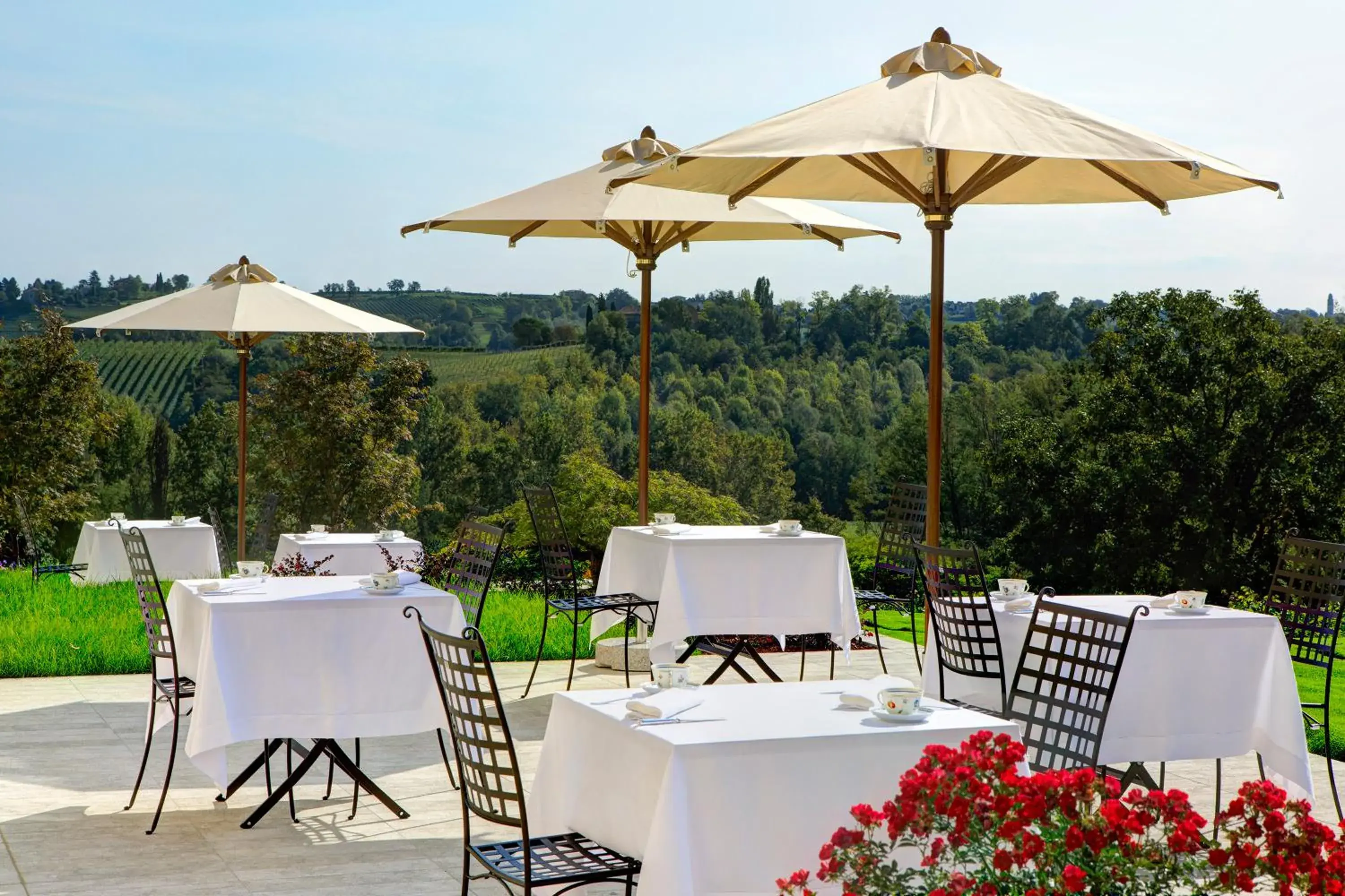 Patio, Restaurant/Places to Eat in Colonìa Resort