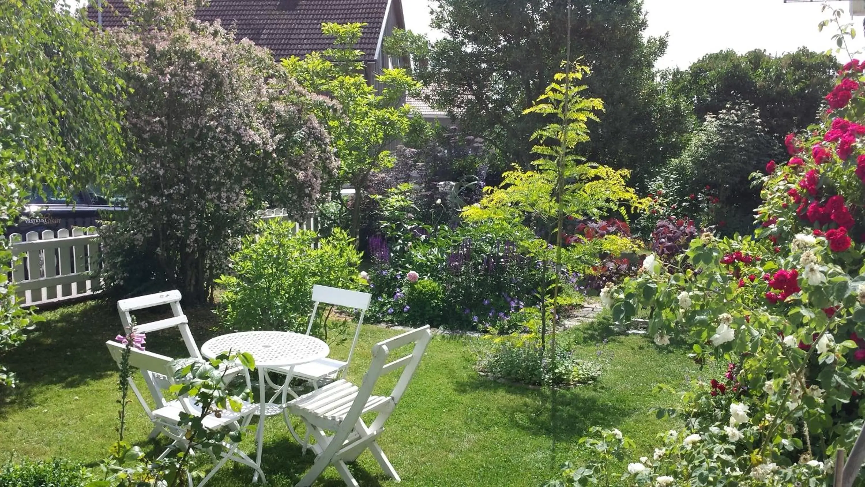 Patio, Garden in Nya Pallas Hotel