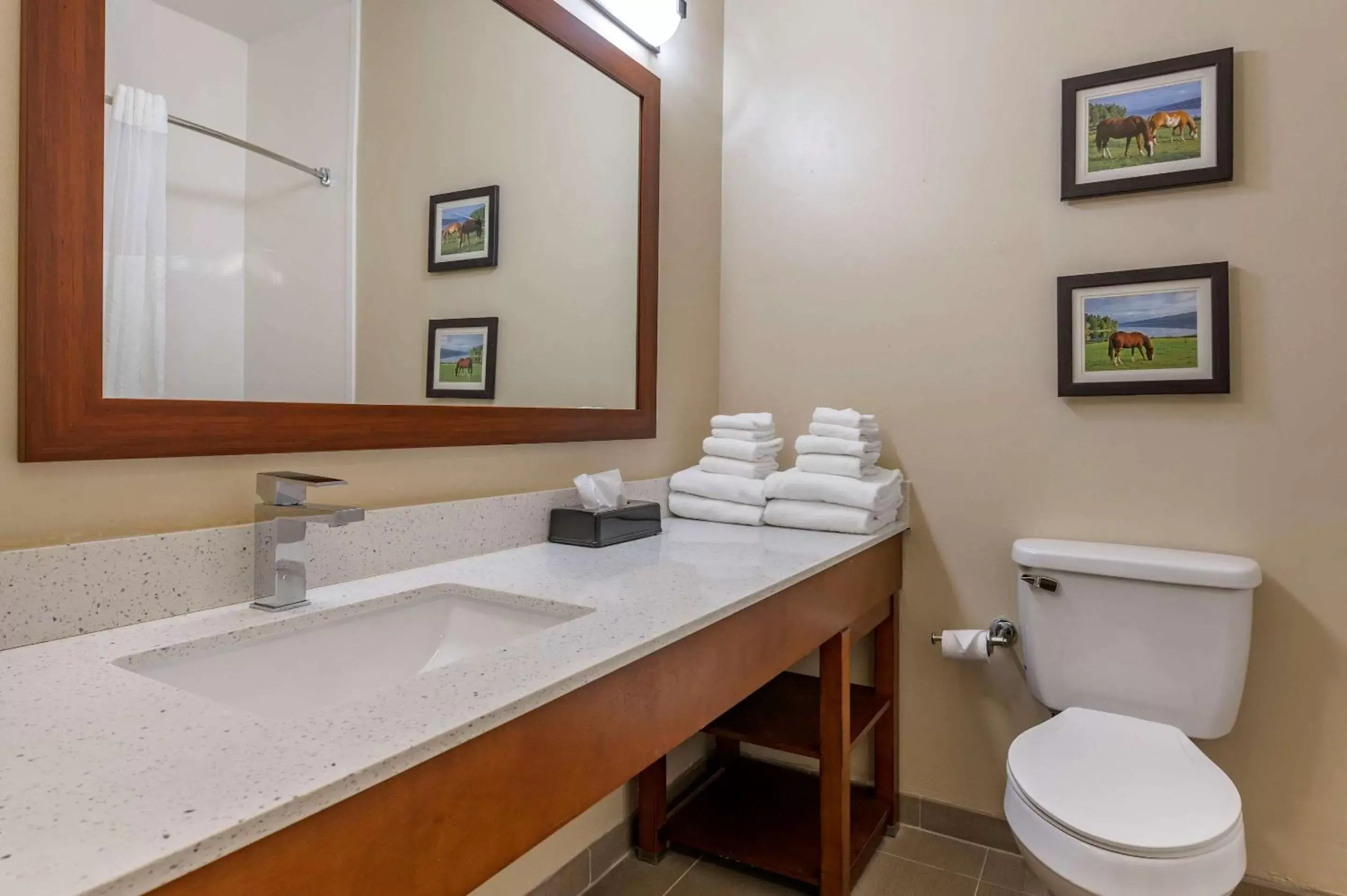 Photo of the whole room, Bathroom in Comfort Suites Keeneland