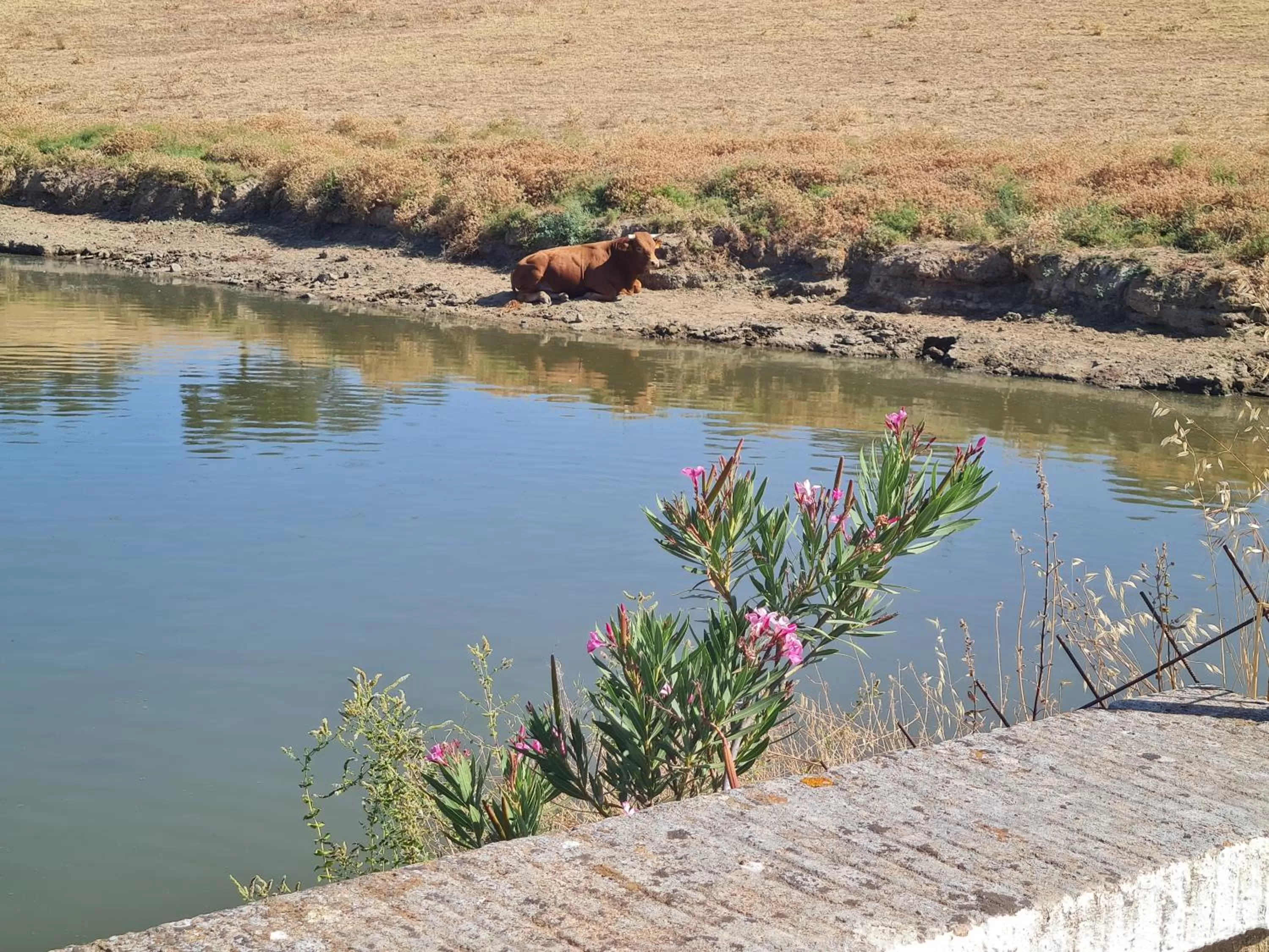 Sports in Alojamiento Rural Finca Barral