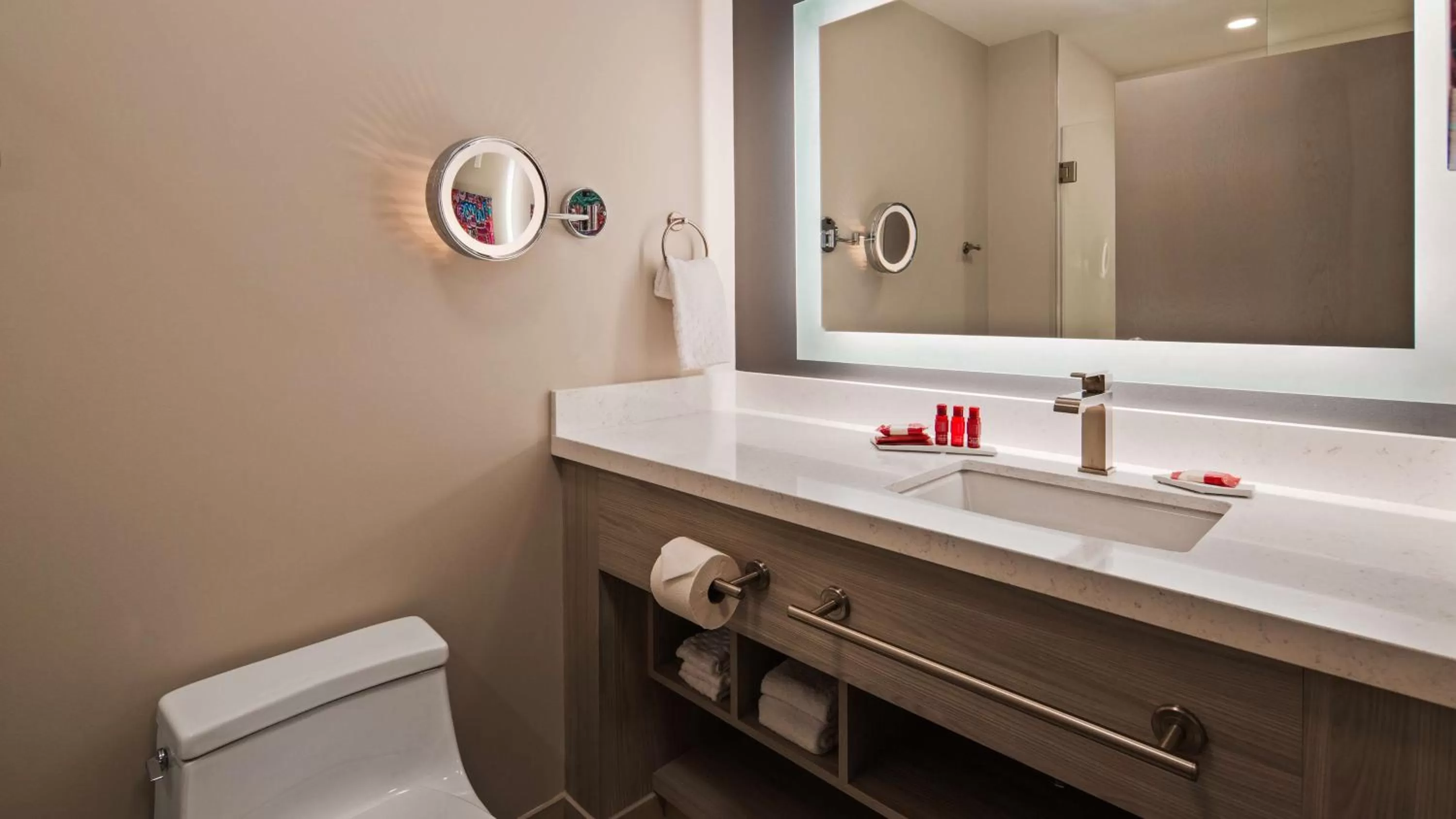 Bathroom in Best Western Premier Winnipeg East