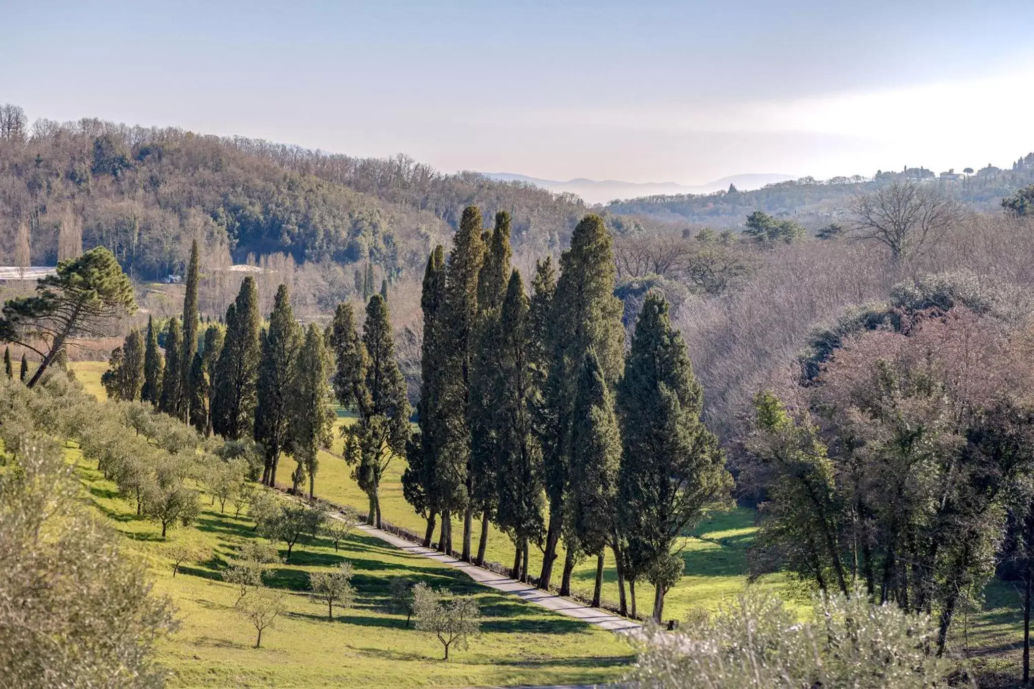 Garden in Rivo della Corte