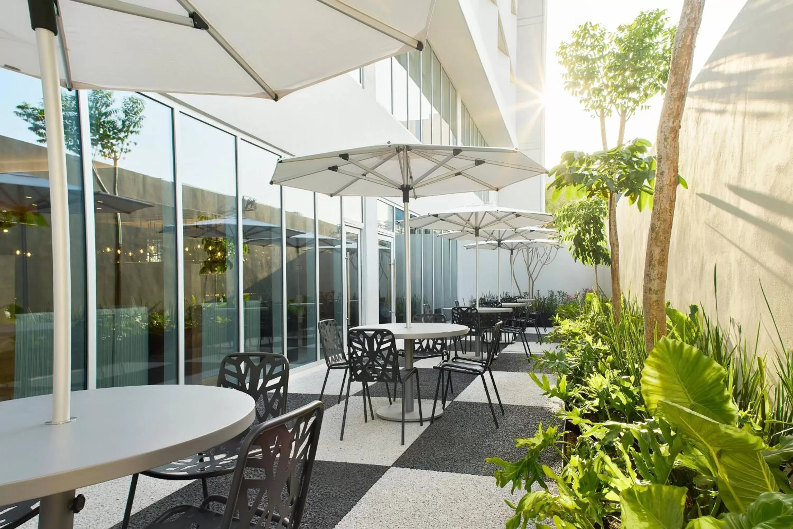 Restaurant/places to eat in Courtyard by Marriott Merida Downtown