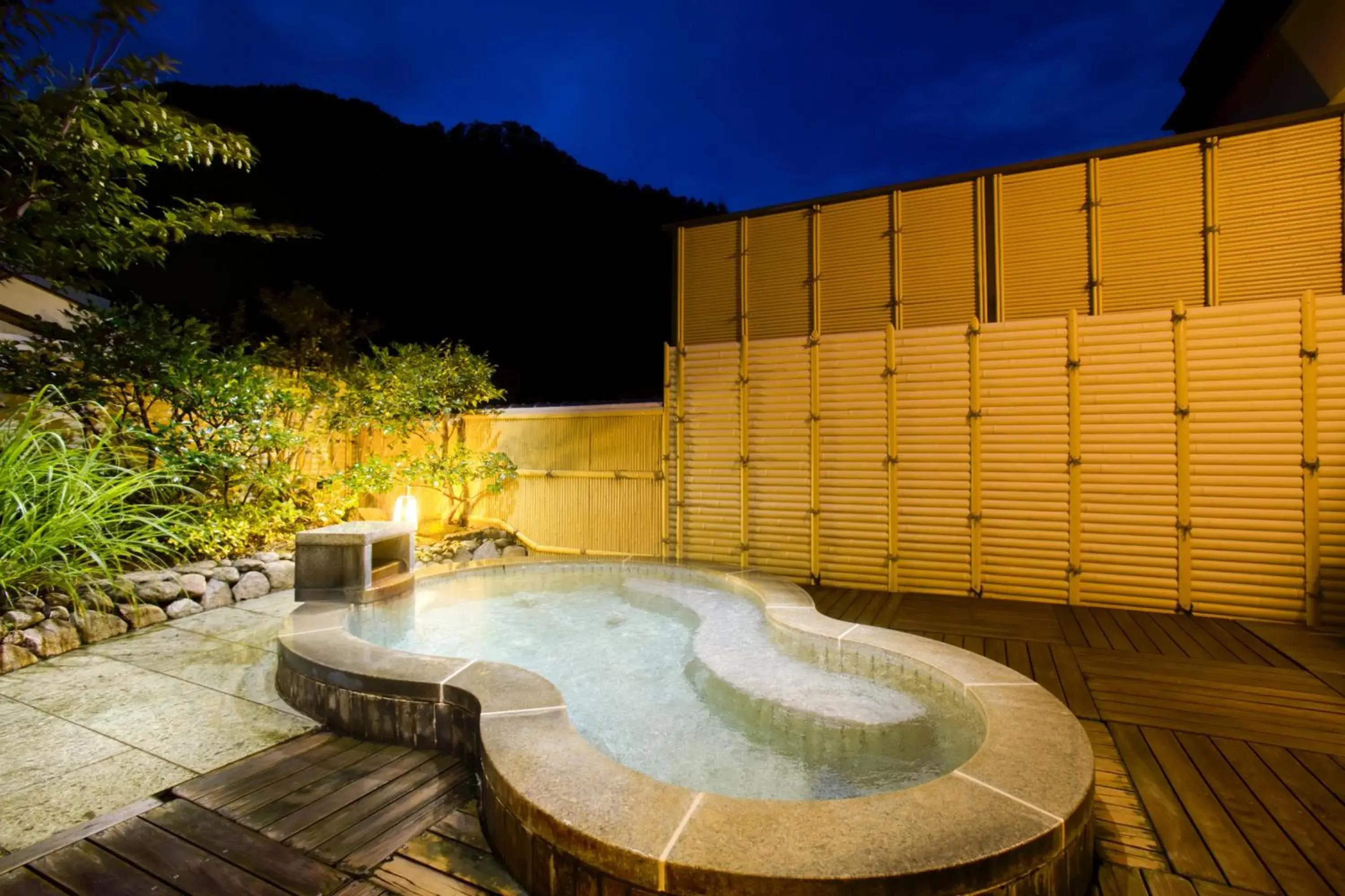 Hot Spring Bath, Swimming Pool in Ryokan Tachibanaya