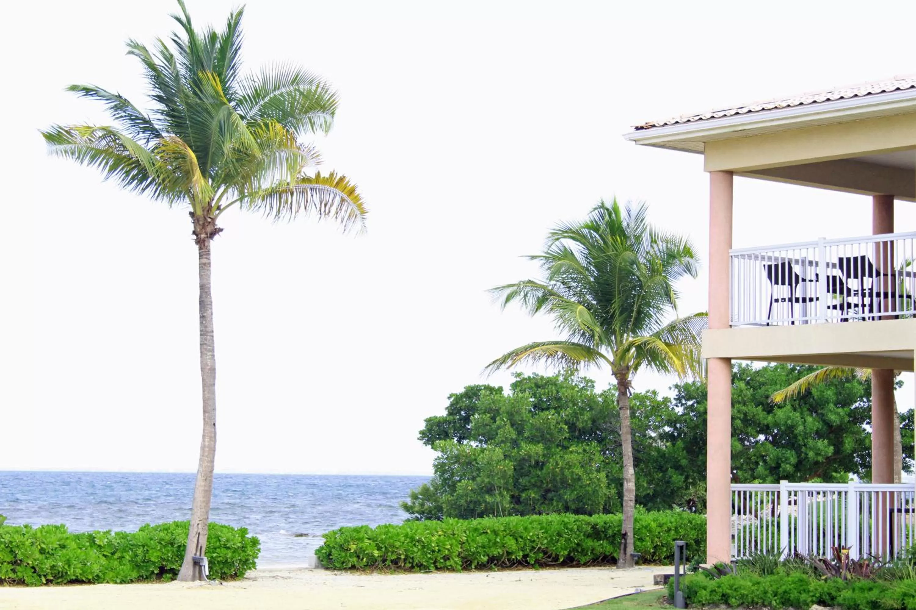 Beach in Holiday Inn Resort Grand Cayman by IHG