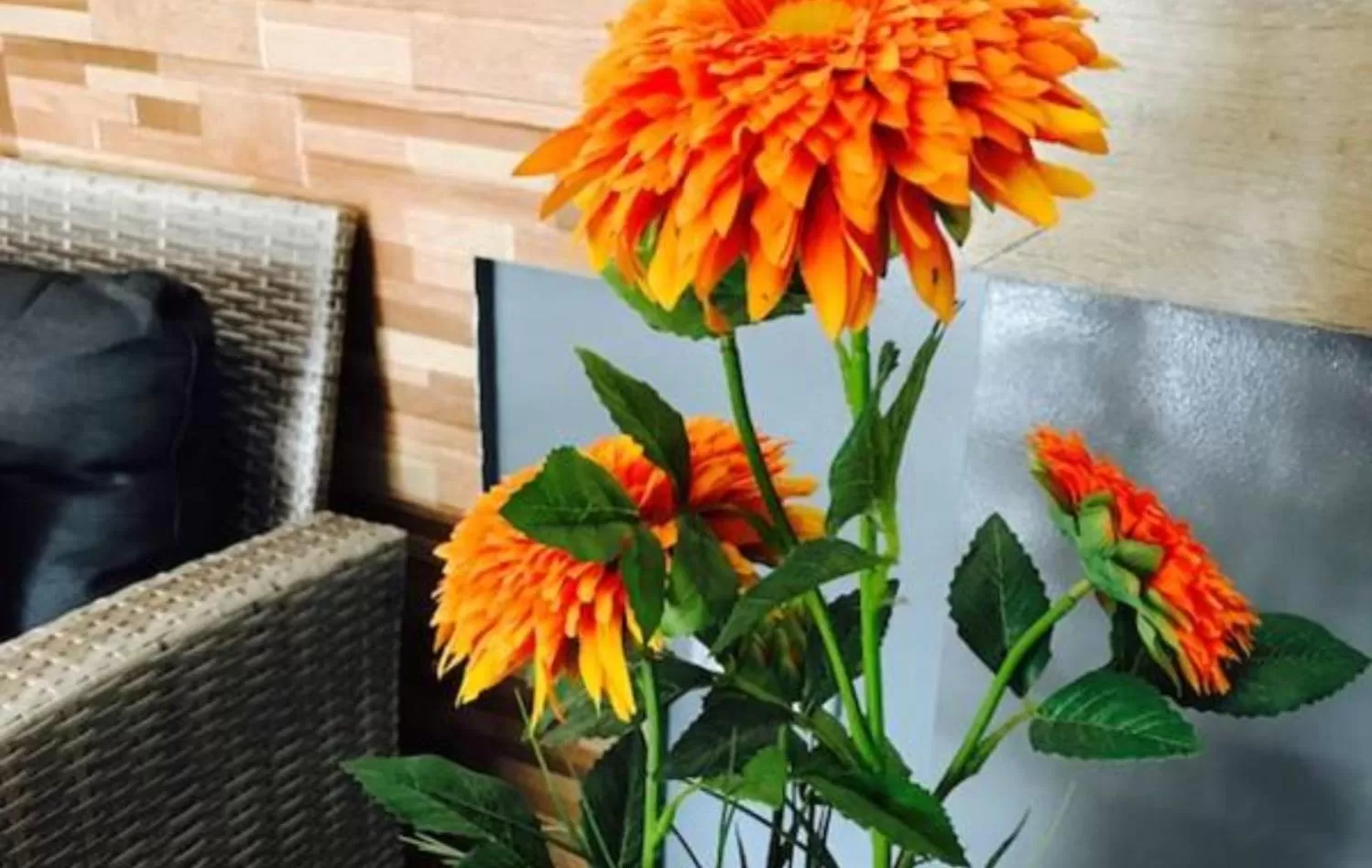 SunValley Tourist Inn