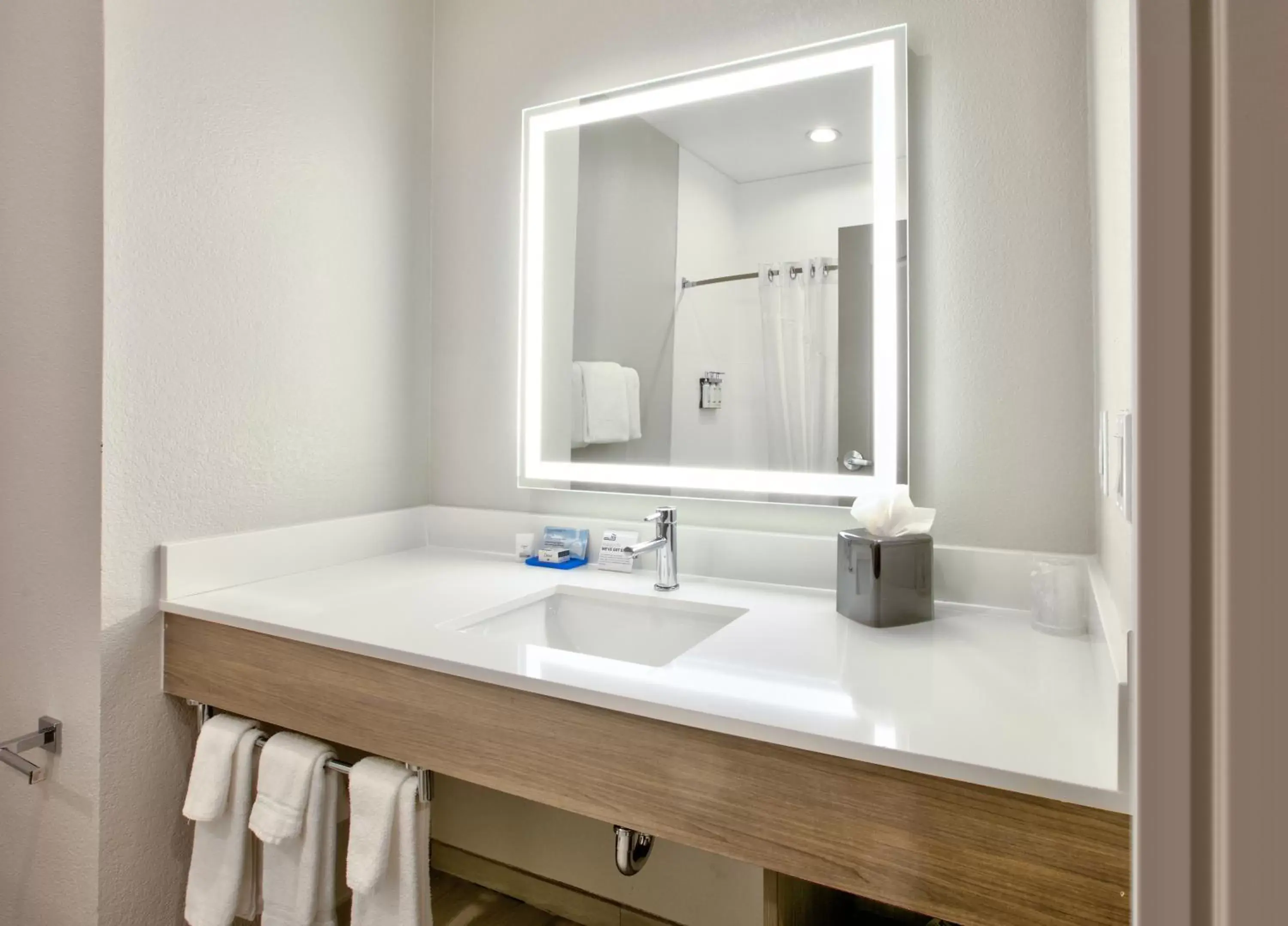 Bathroom in Holiday Inn Express & Suites North Dallas at Preston, an IHG Hotel