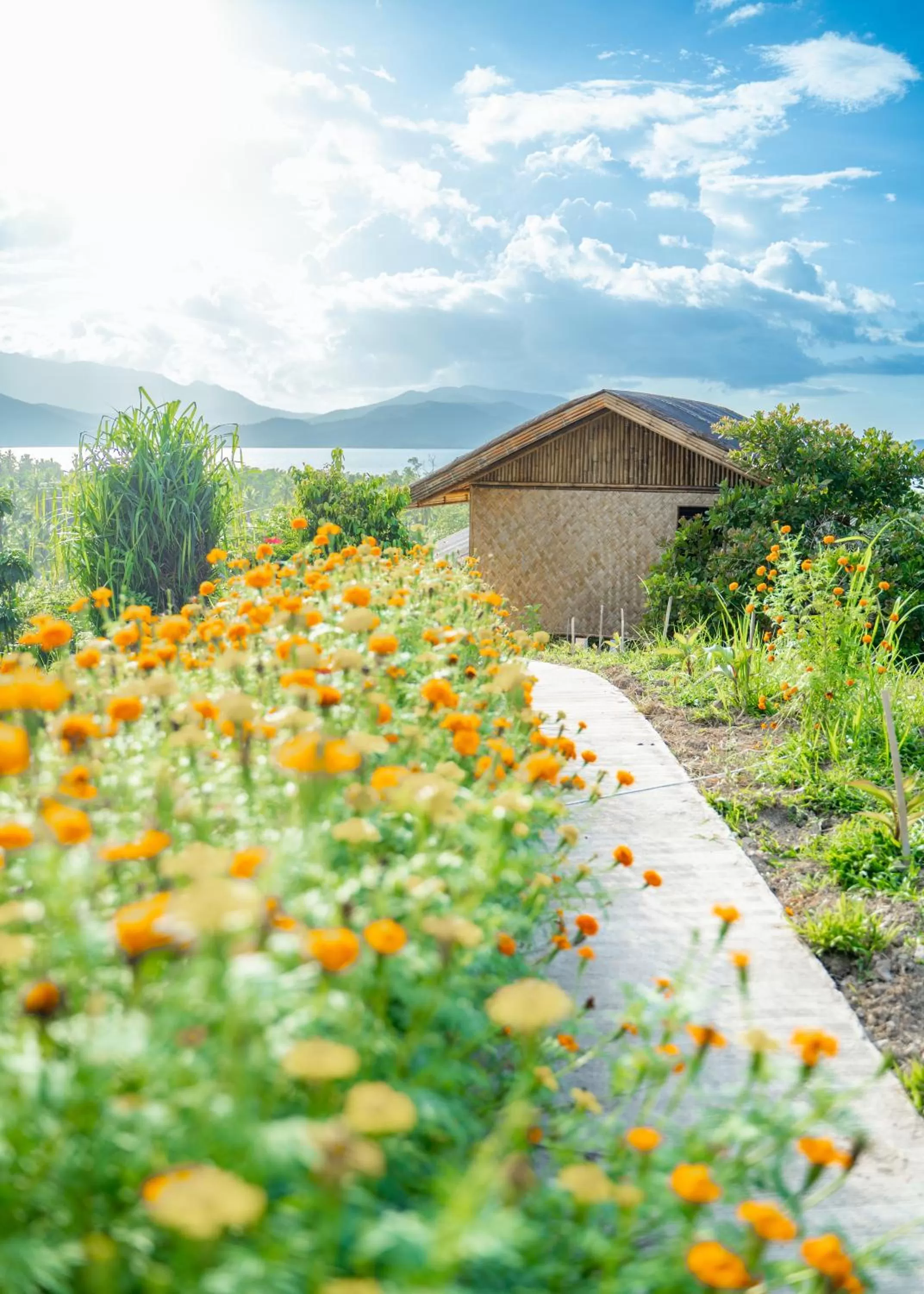 Day in Ocean Green Eco Lodge
