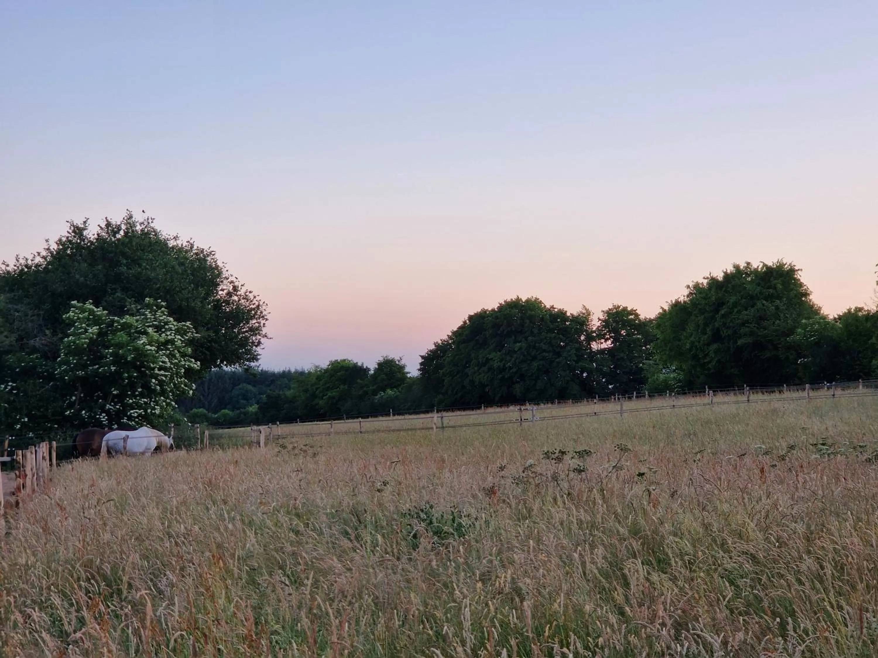 Natural Landscape in Habitat