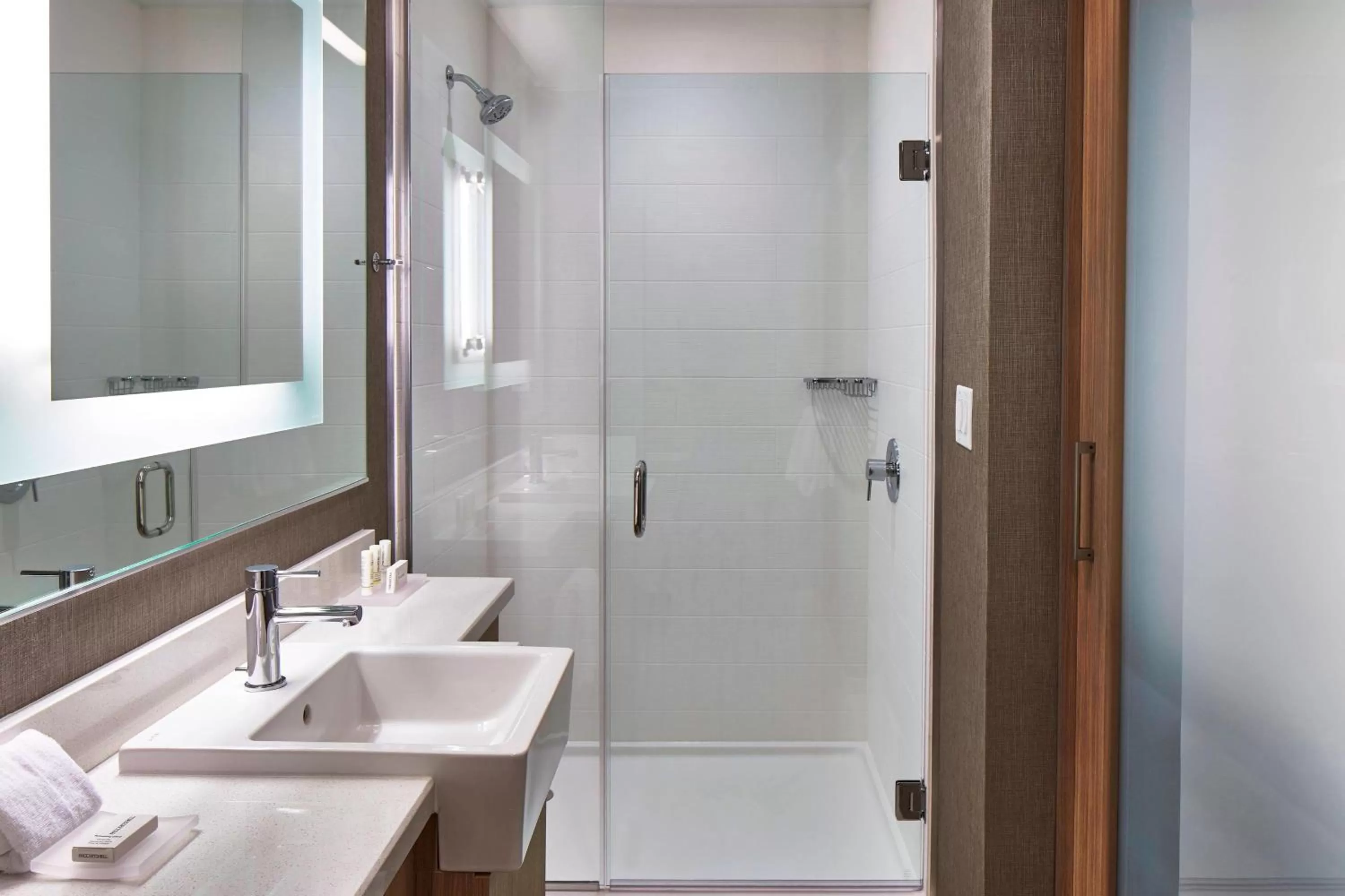 Bathroom in SpringHill Suites by Marriott Nashville Downtown/Convention Center