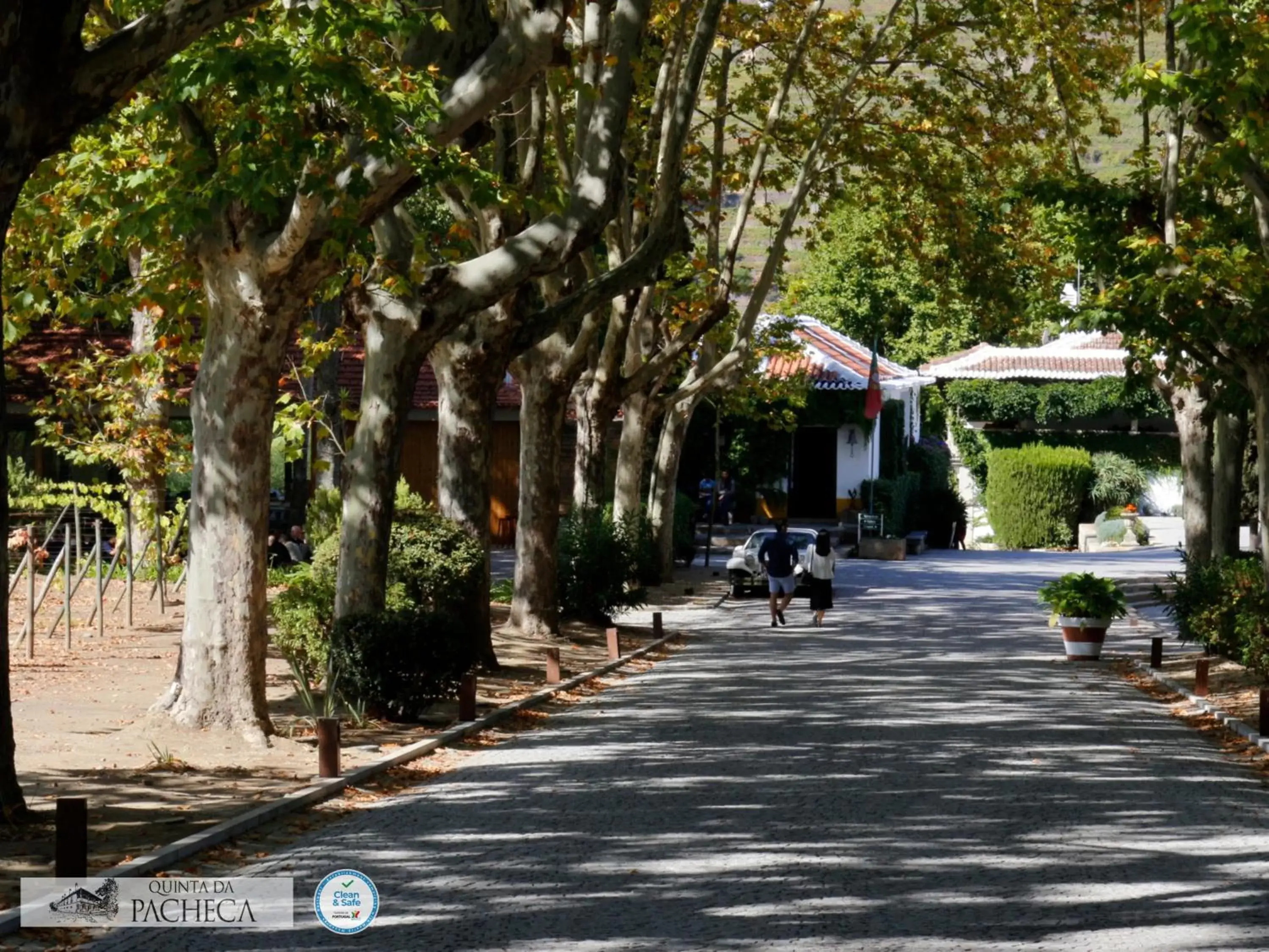 Facade/entrance in The Wine House Hotel - Quinta da Pacheca