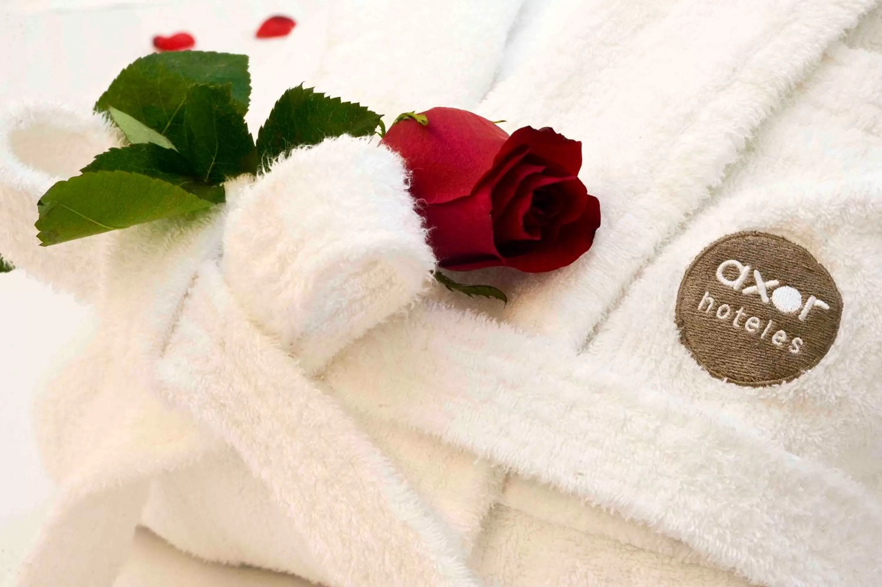 Other in Axor Barajas