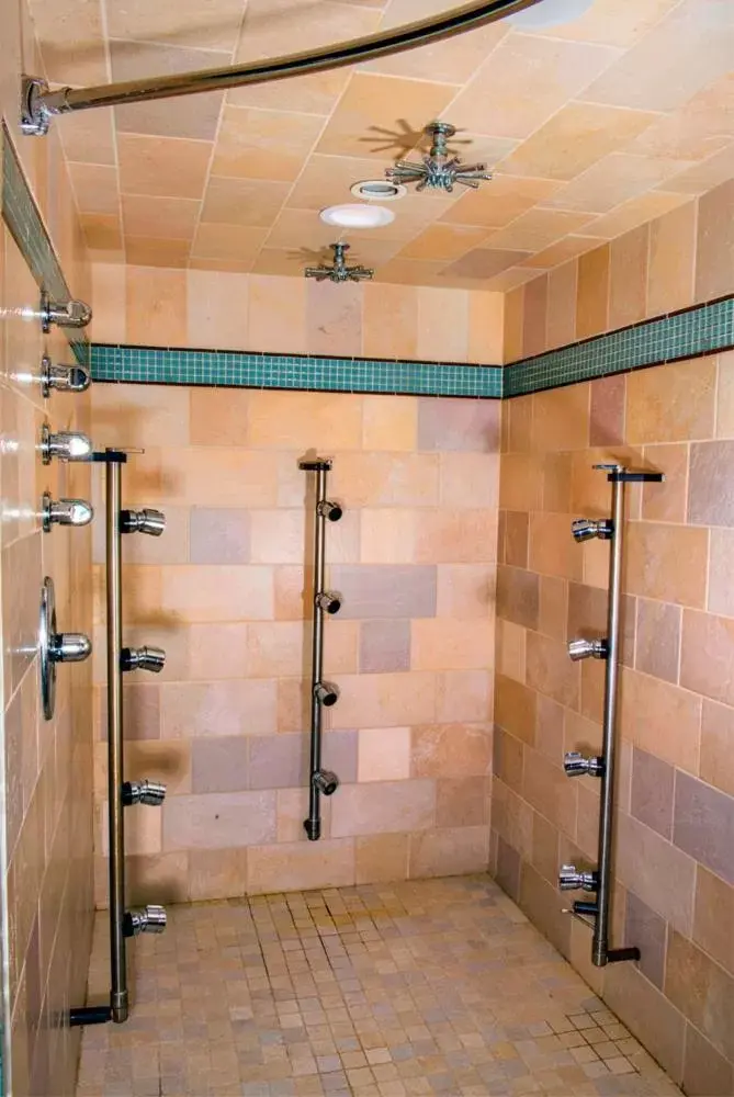 Shower, Bathroom in Brasstown Valley Resort & Spa