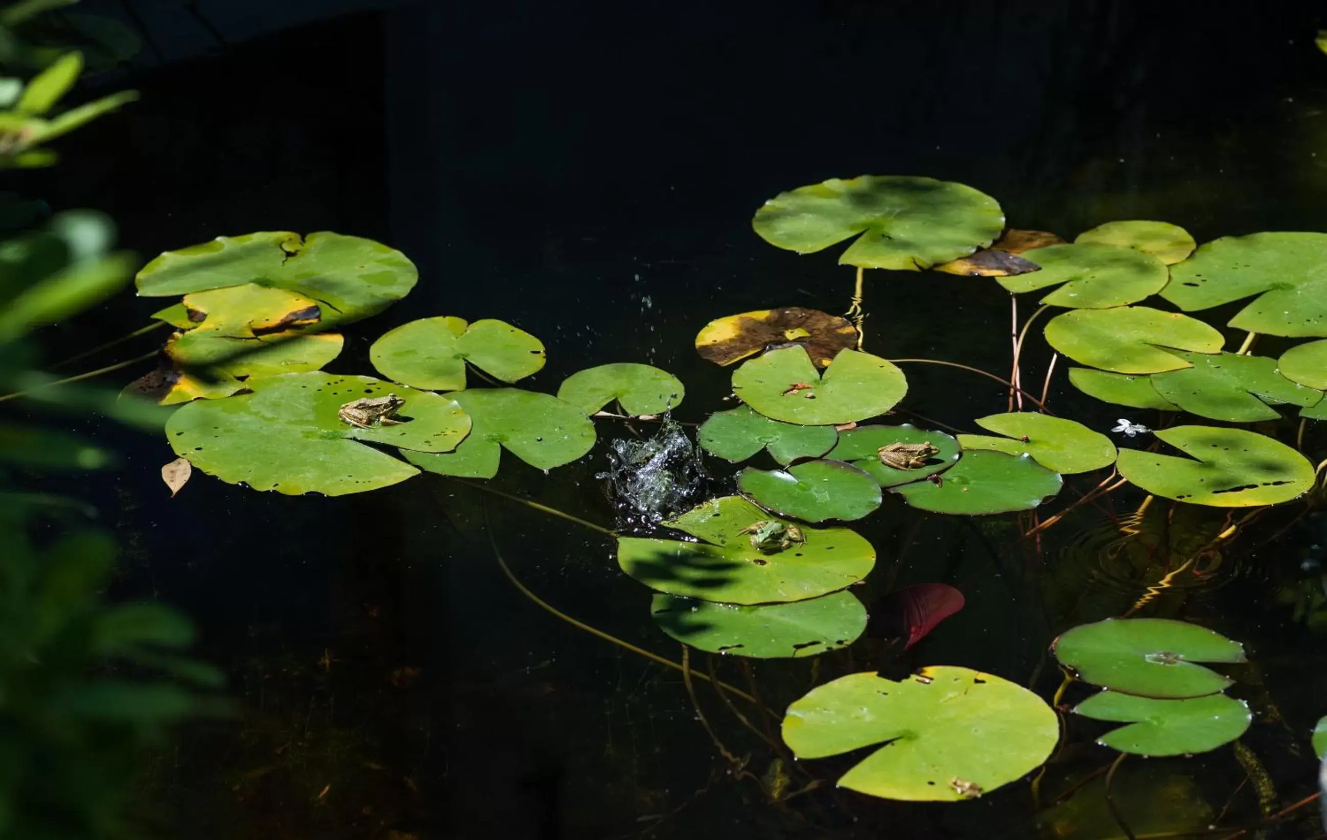 Natural landscape in Altanure - Casa Terra Ecological Boutique Hotel