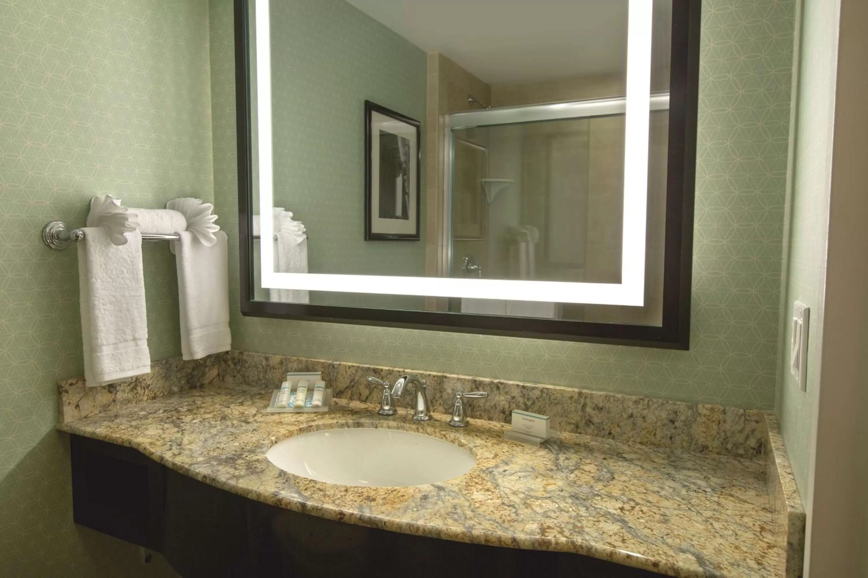 Bathroom in Hilton Garden Inn Washington D.C./U.S. Capitol