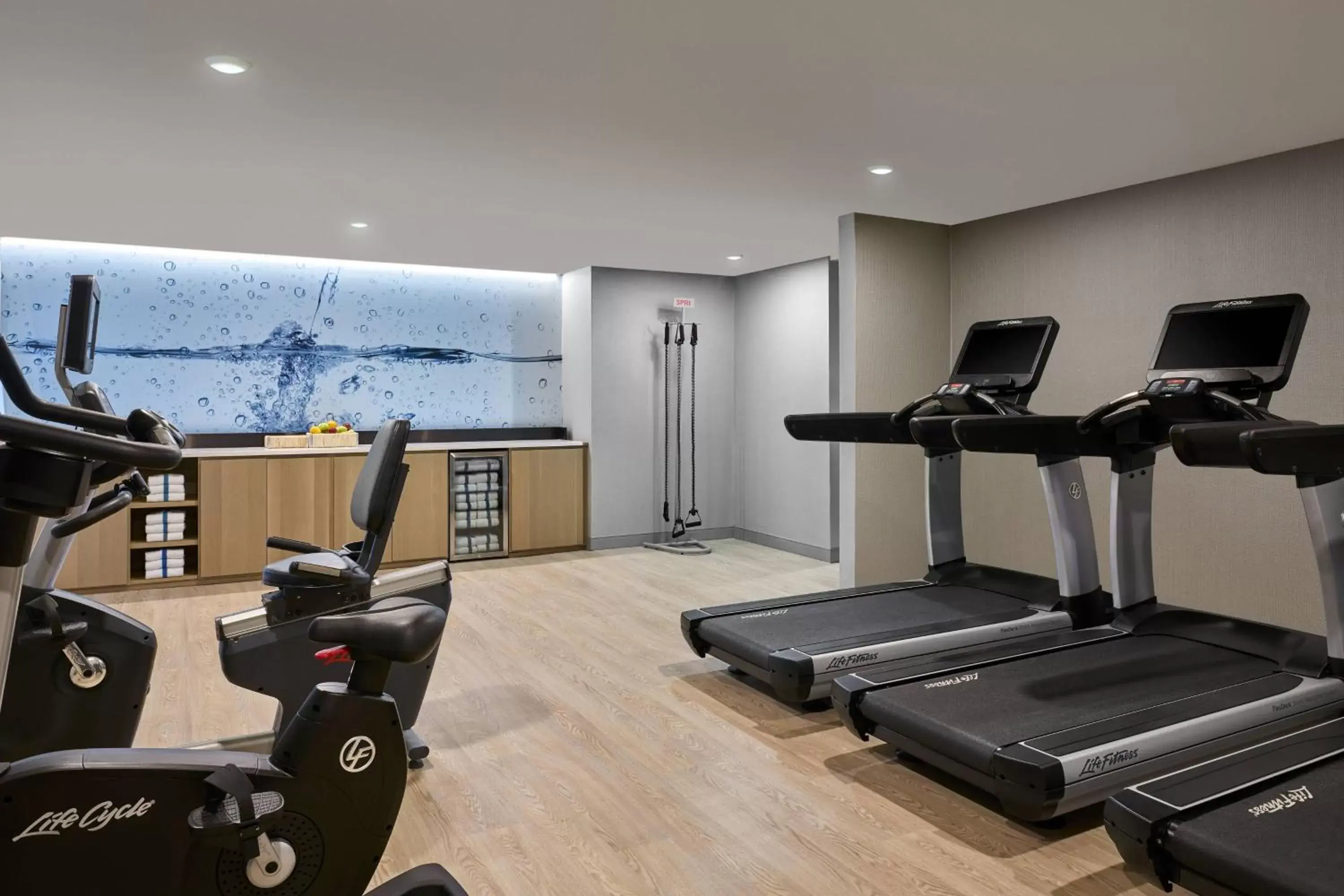 Fitness centre/facilities, Fitness Center/Facilities in Delta Hotels by Marriott Muskegon Convention Center