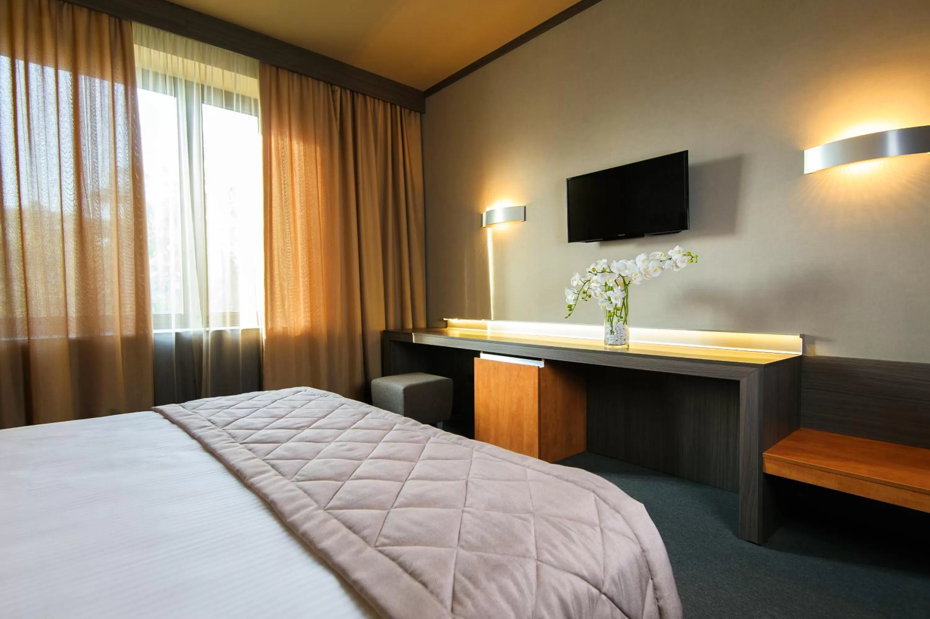 TV and multimedia in Jolly Alon Hotel