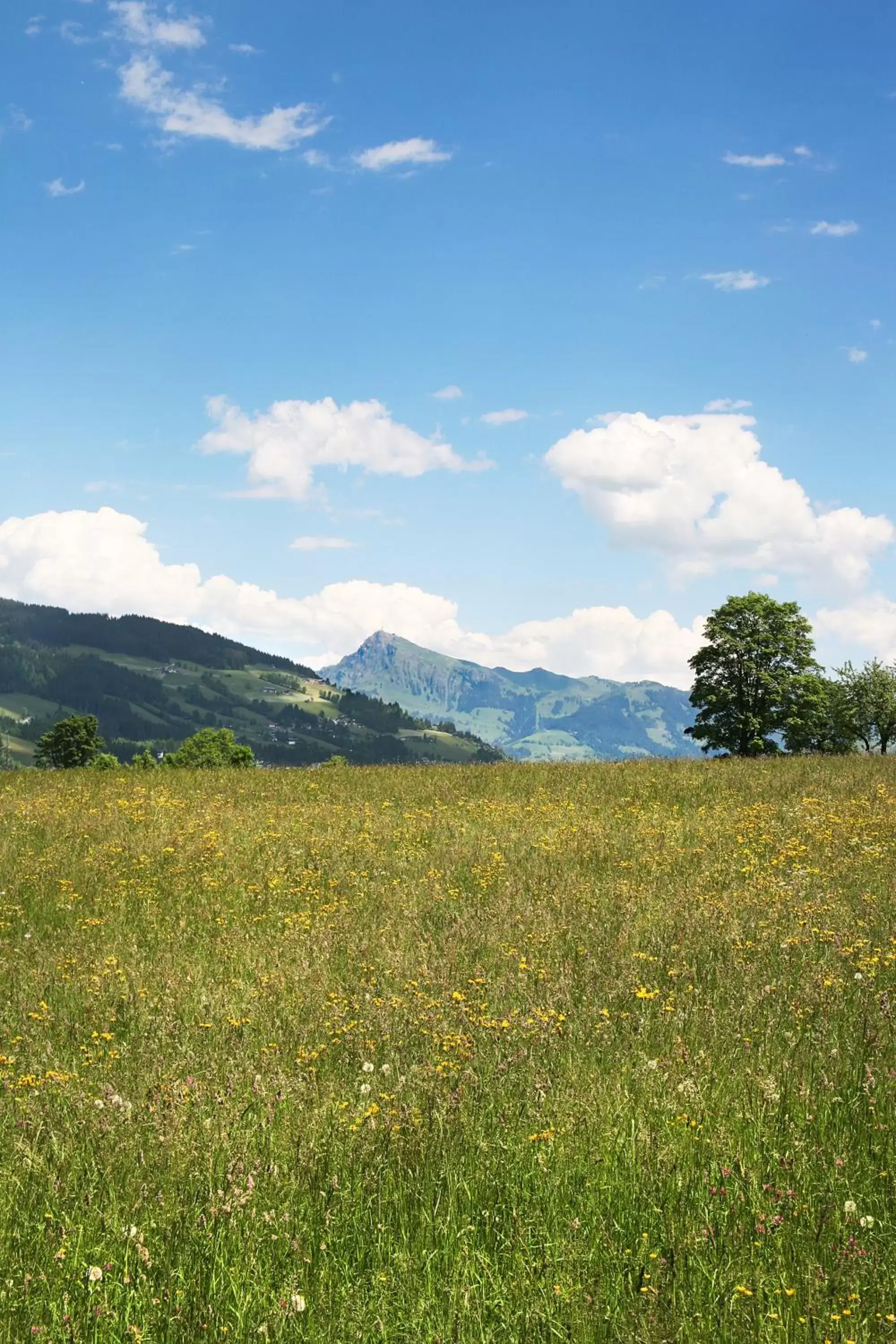 Area and facilities, Natural Landscape in Loipenstubn