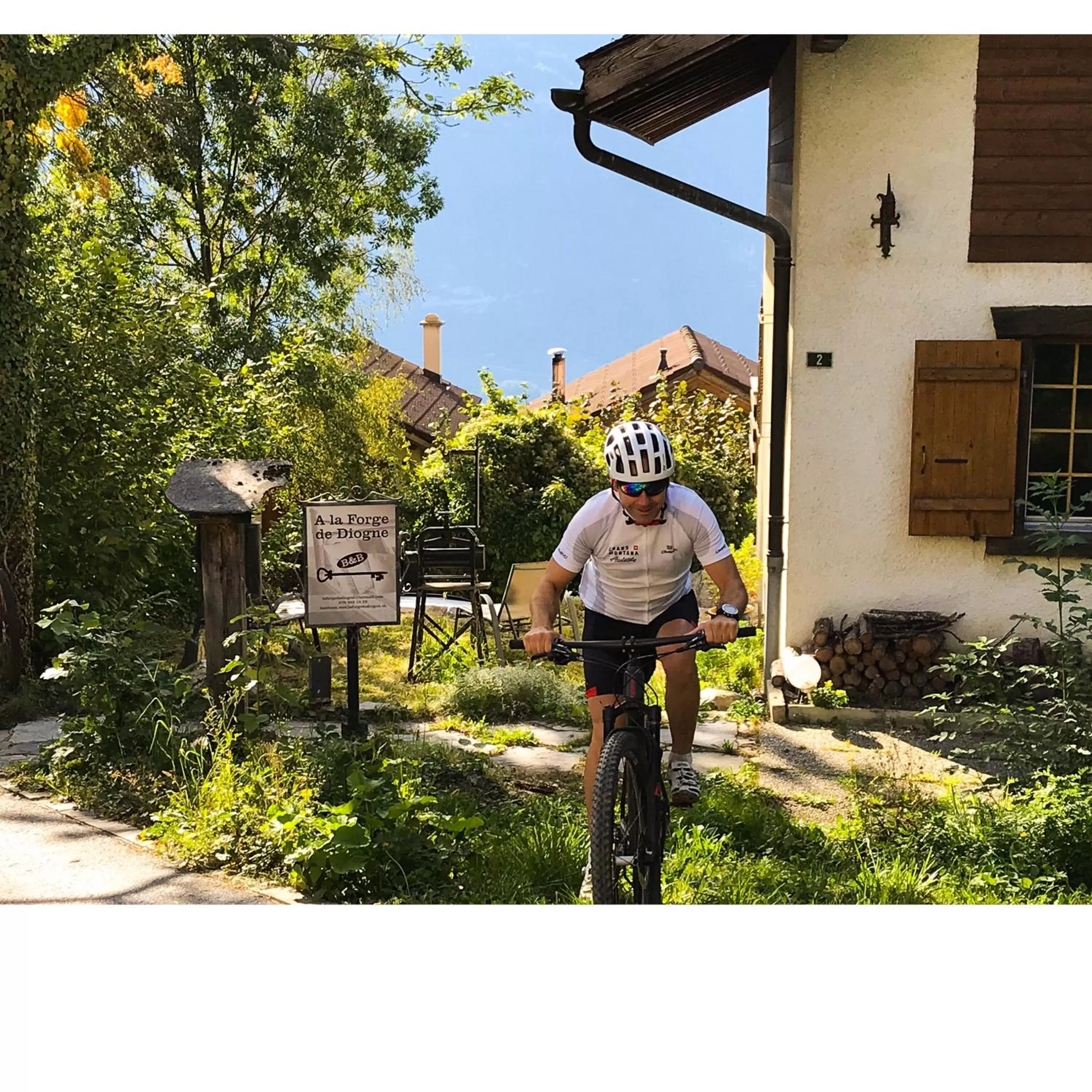 Cycling in B&B La Forge de Diogne - luxury and cosy alpine lodge