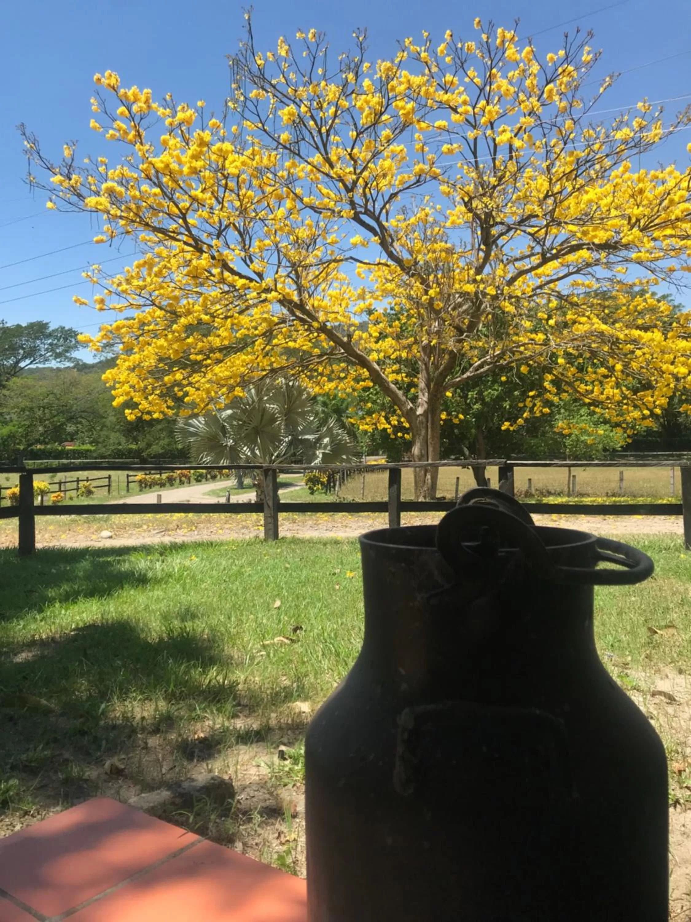 Natural landscape in Waka Hotel Rural