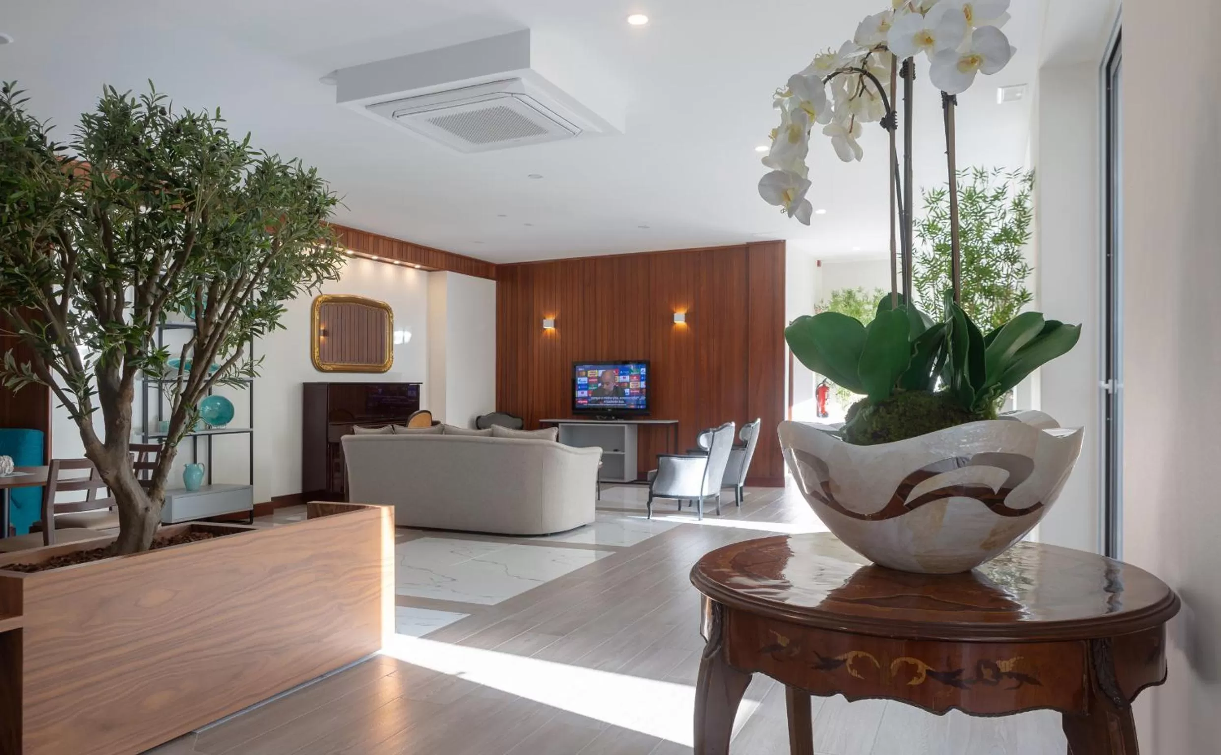Communal lounge/ TV room in Hotel Afonso V & SPA