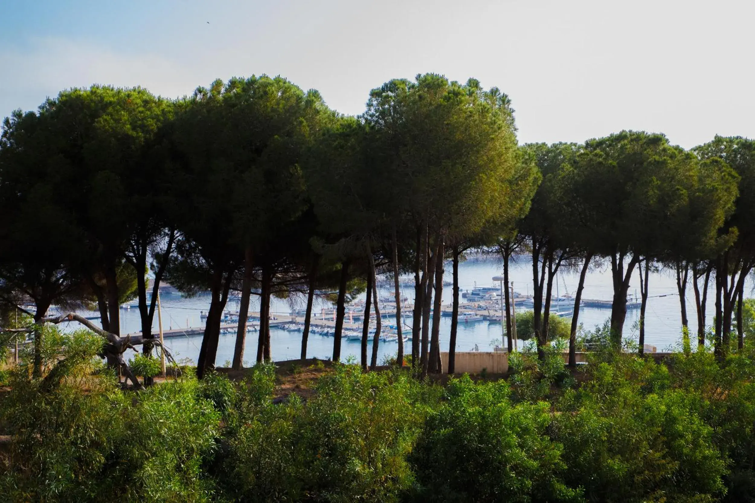 Natural landscape in Al Pescatore