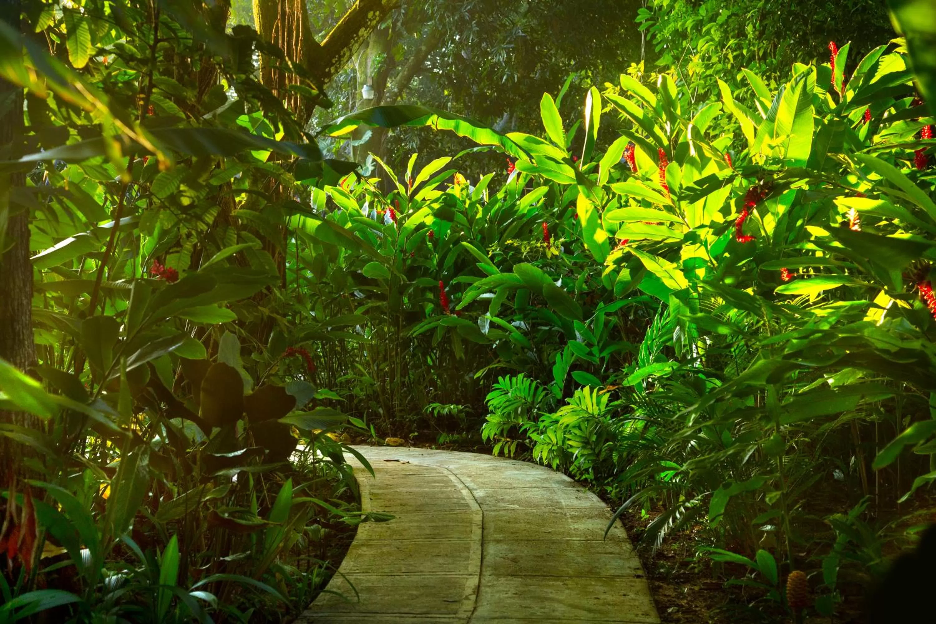 Garden in Hotel La Aldea del Halach Huinic