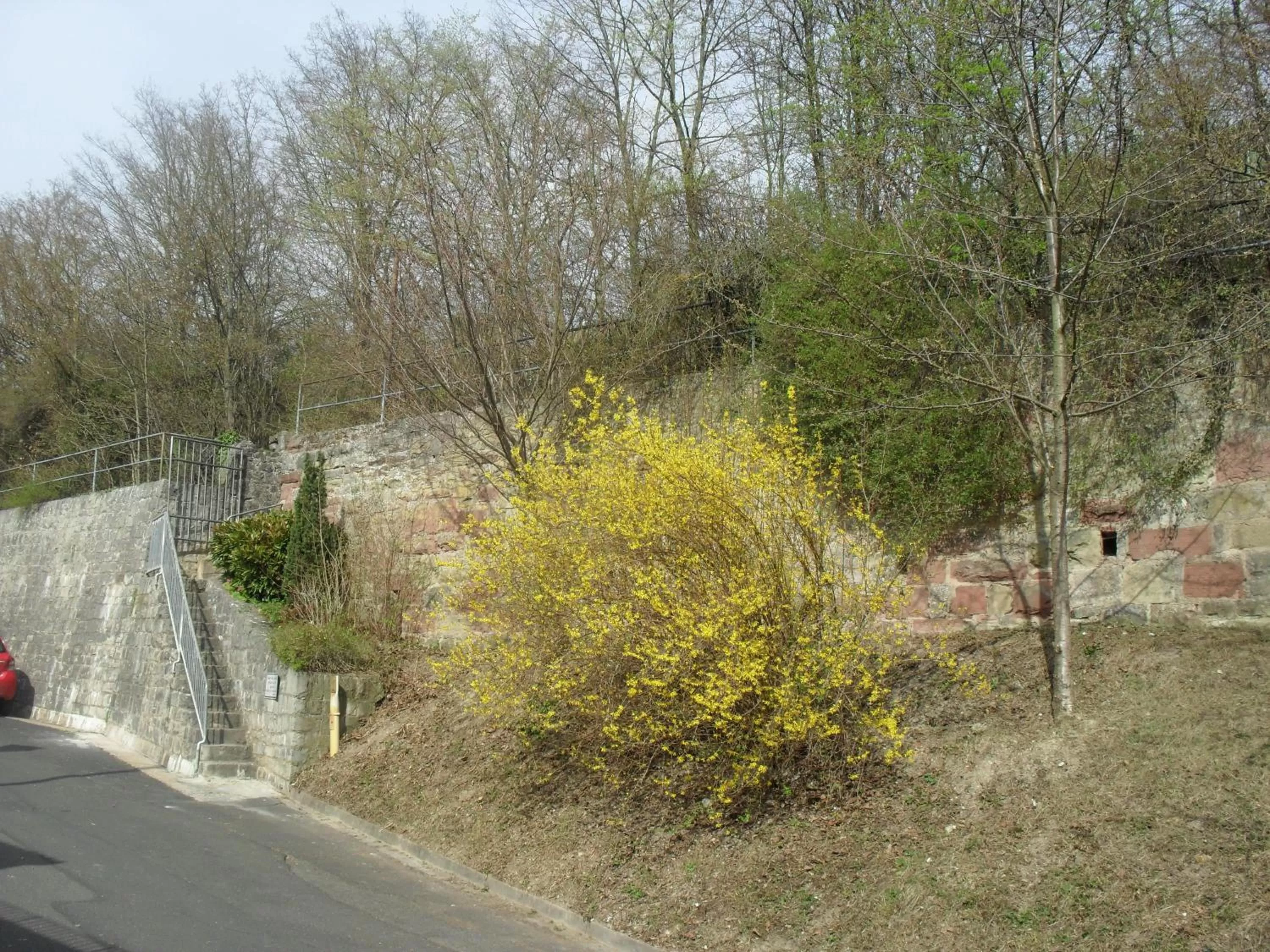 Natural landscape in Hotel Demling